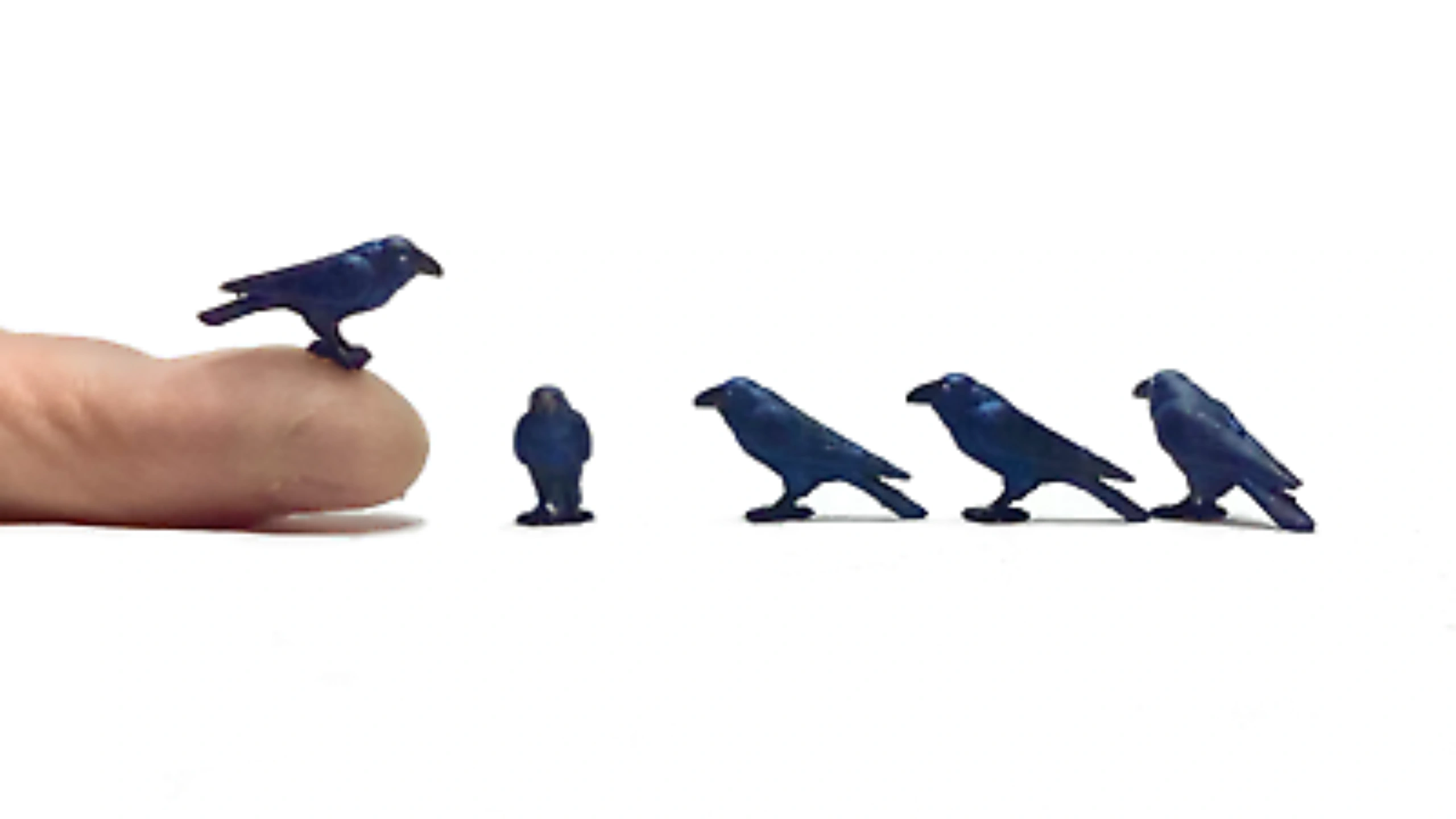 5 crows meaning