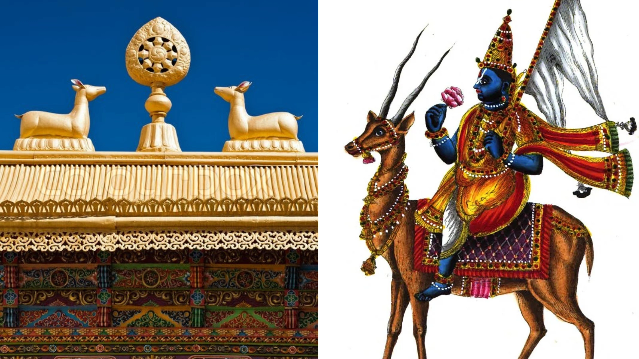 Deer Symbolism