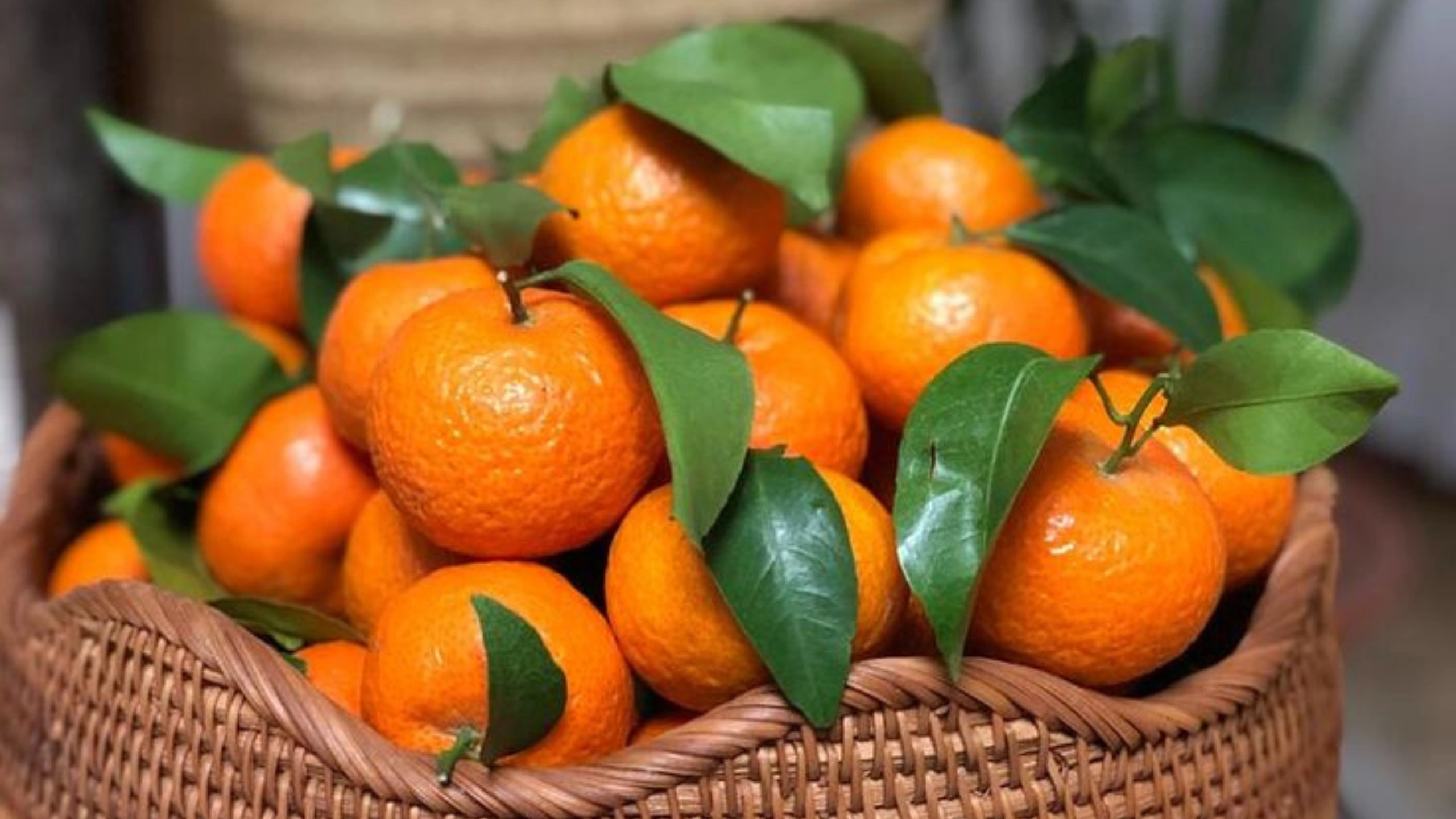 Spiritual Meaning of Oranges in a Dream