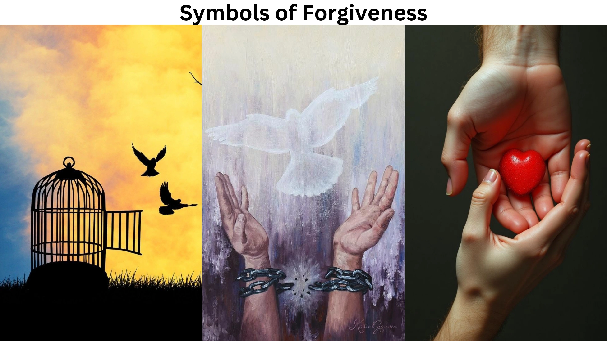 Symbols of Forgiveness