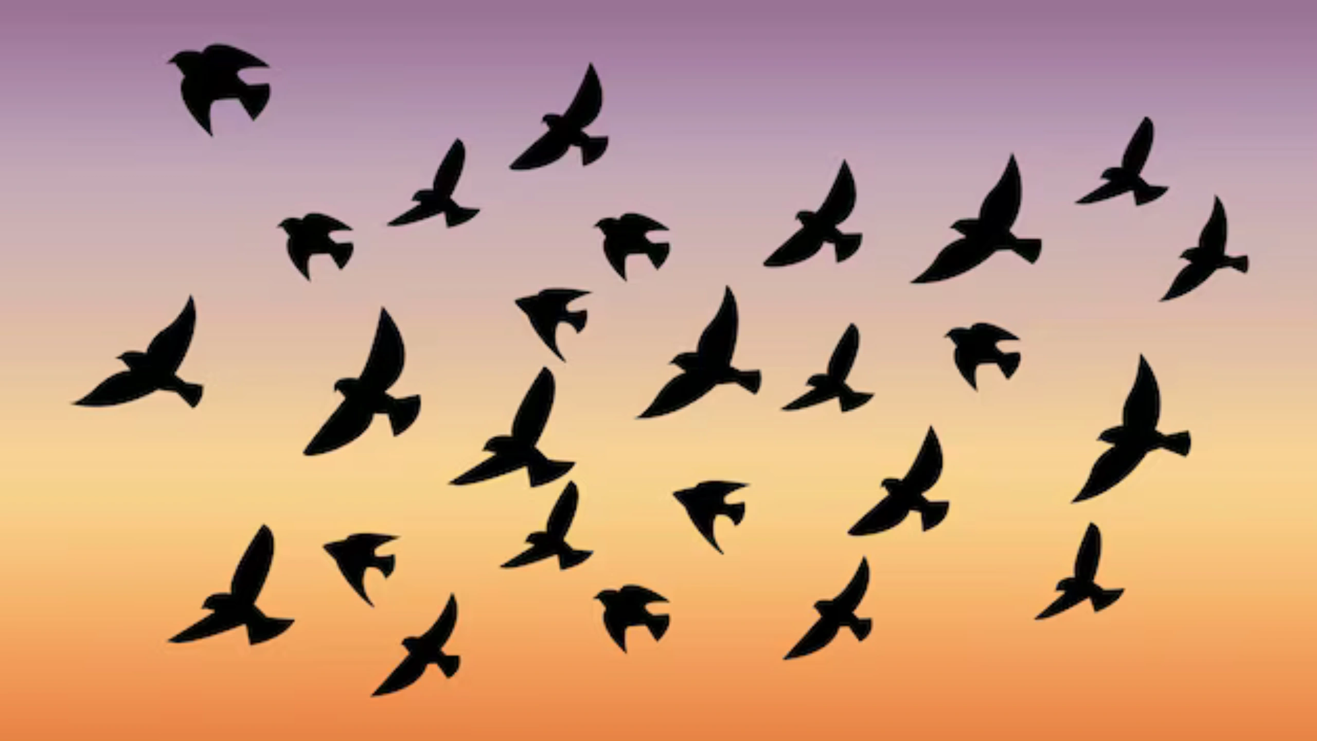 Spiritual Meaning of a Flock of Birds