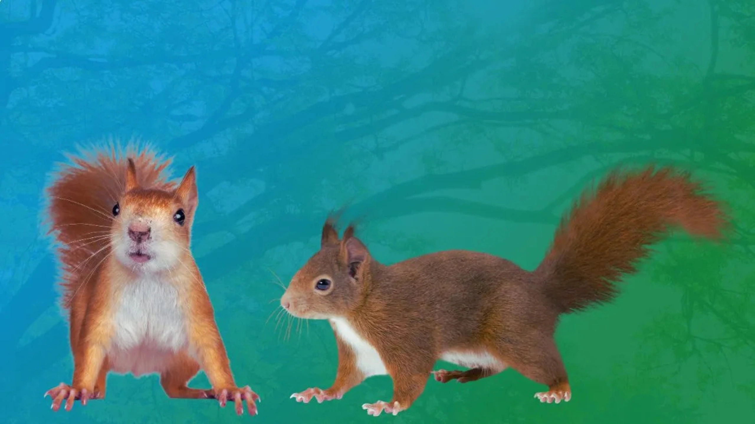 Squirrel Spiritual Meaning
