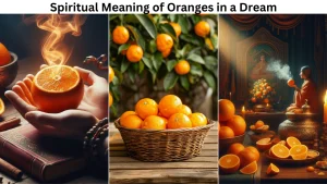 Spiritual Meaning of Oranges in a Dream