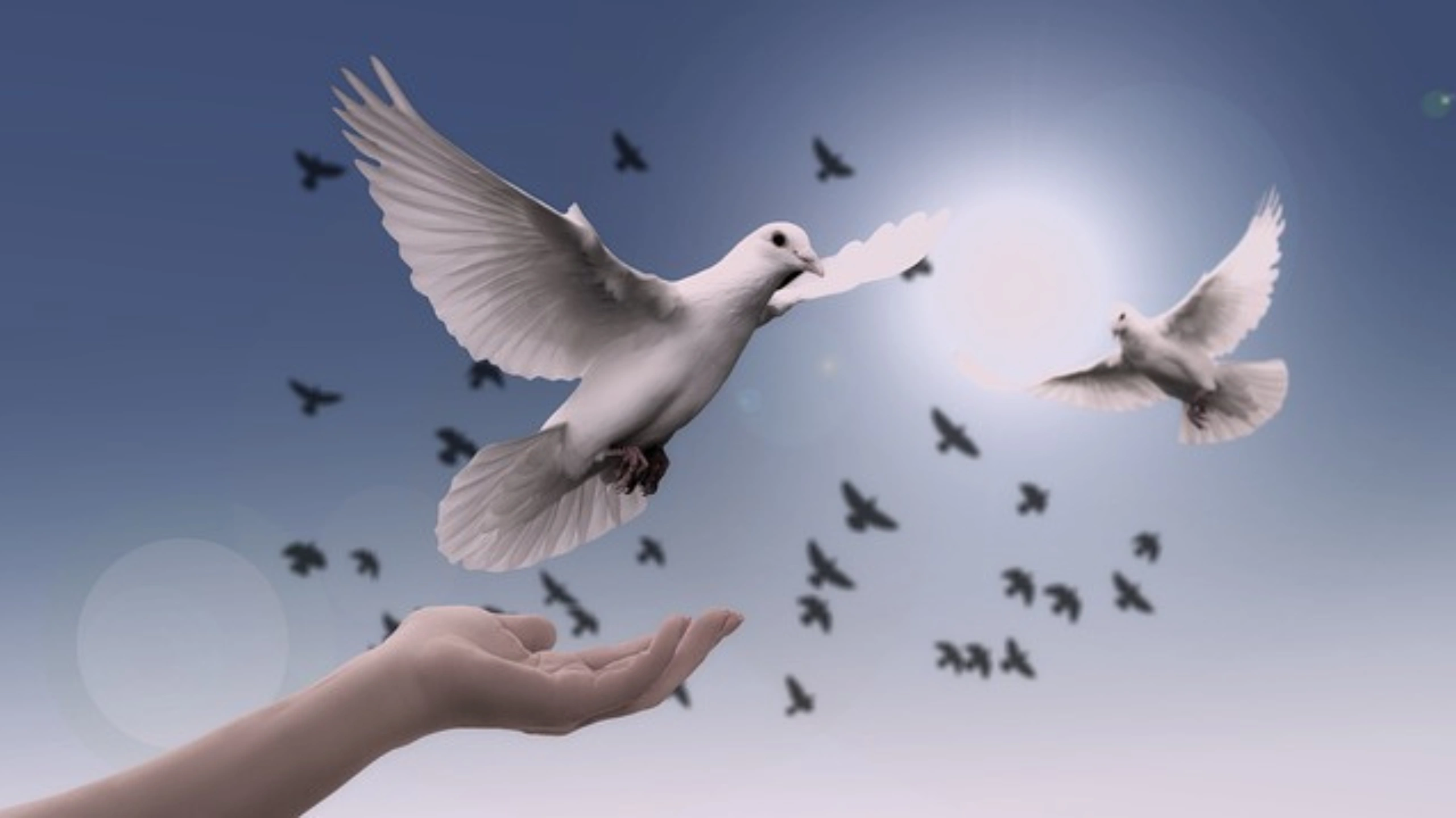 Spiritual Meaning of a Flock of Birds