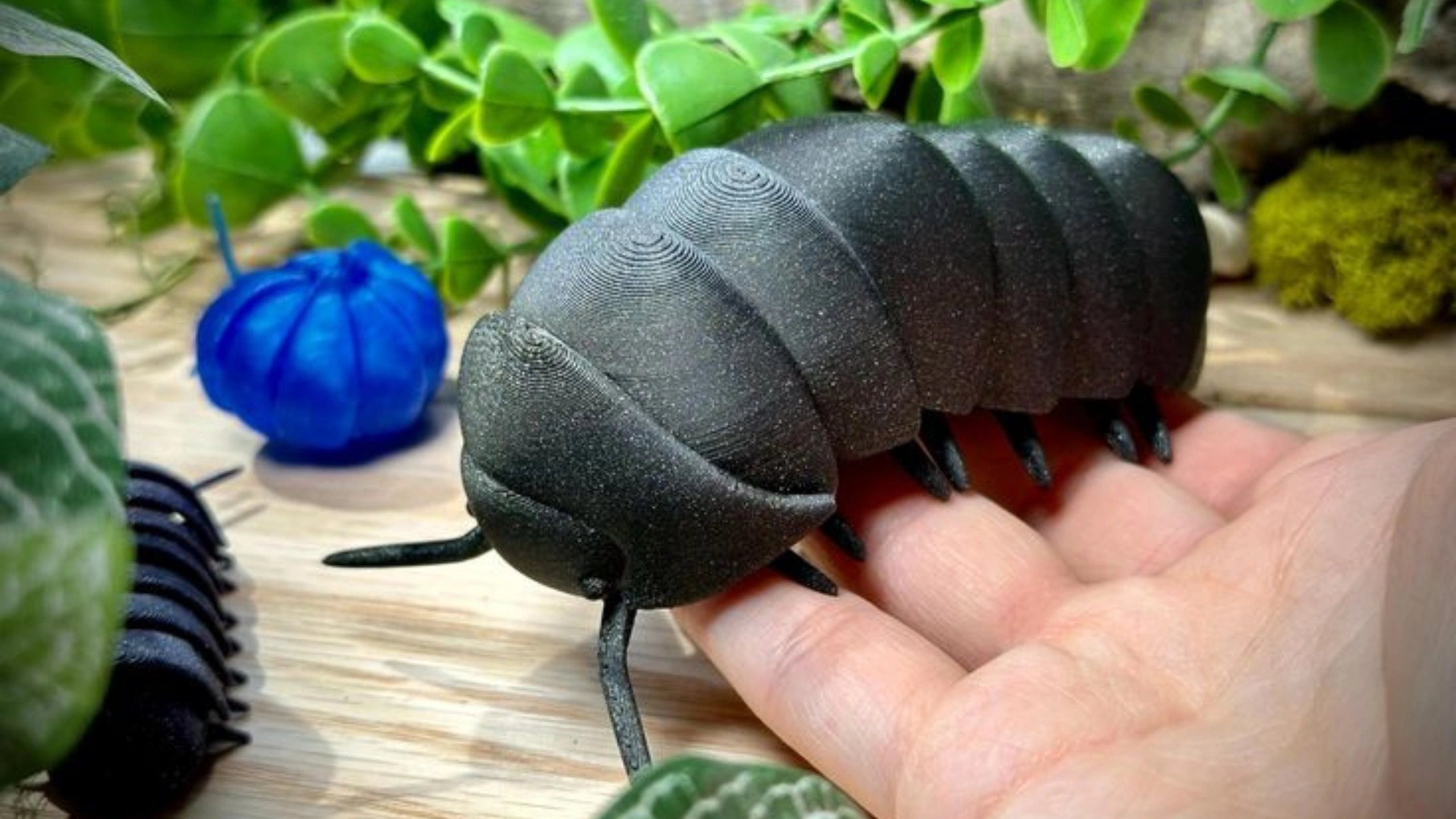 Spiritual Meaning of Roly Poly Bugs