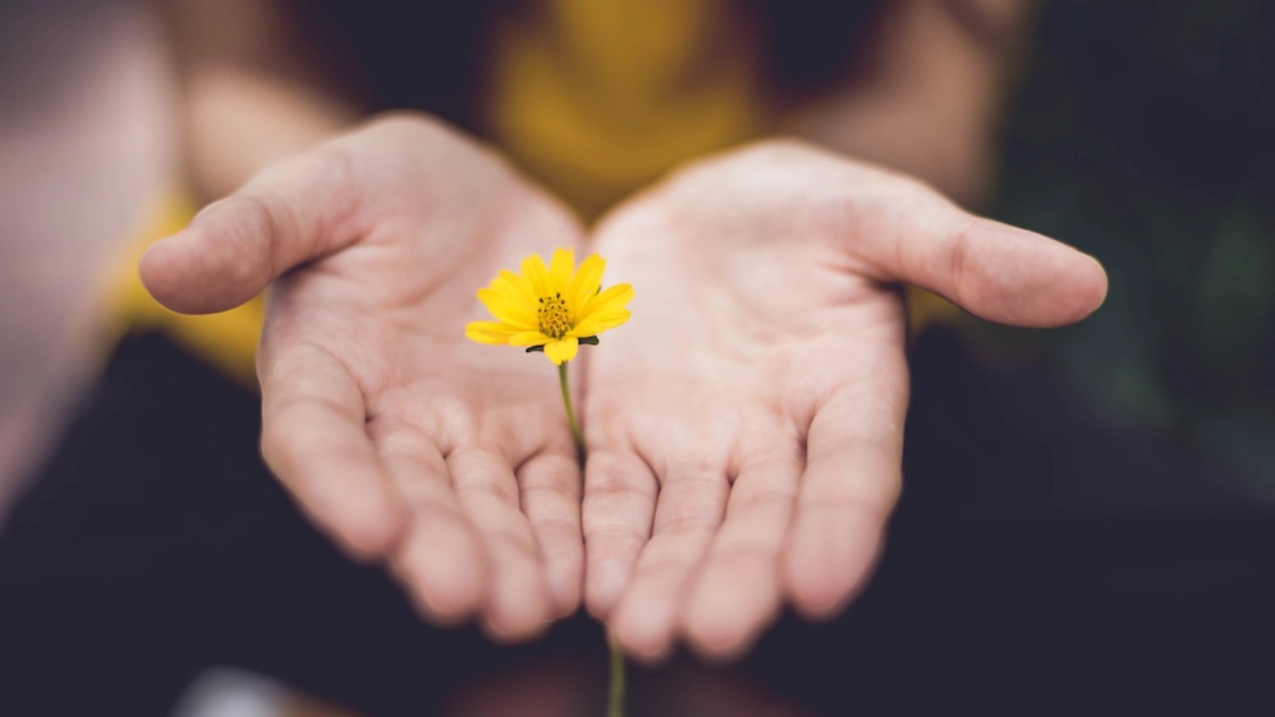 Symbols of Forgiveness