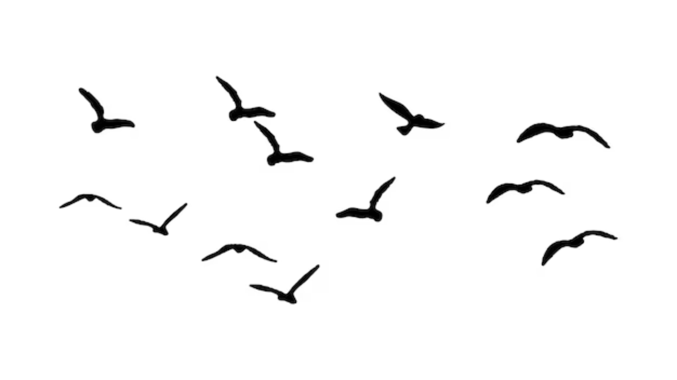 Spiritual Meaning of a Flock of Birds