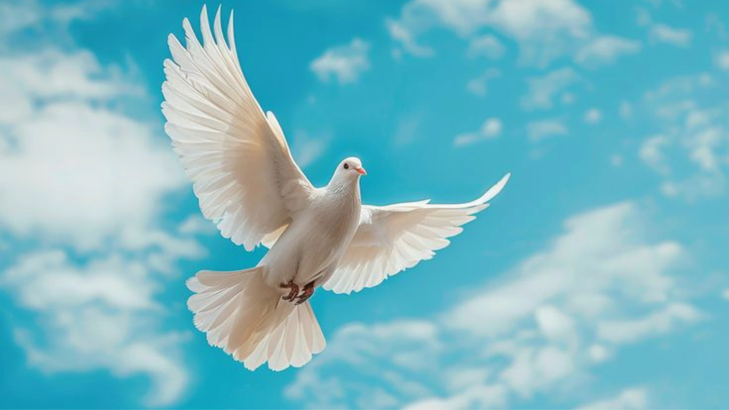 Symbols of Forgiveness