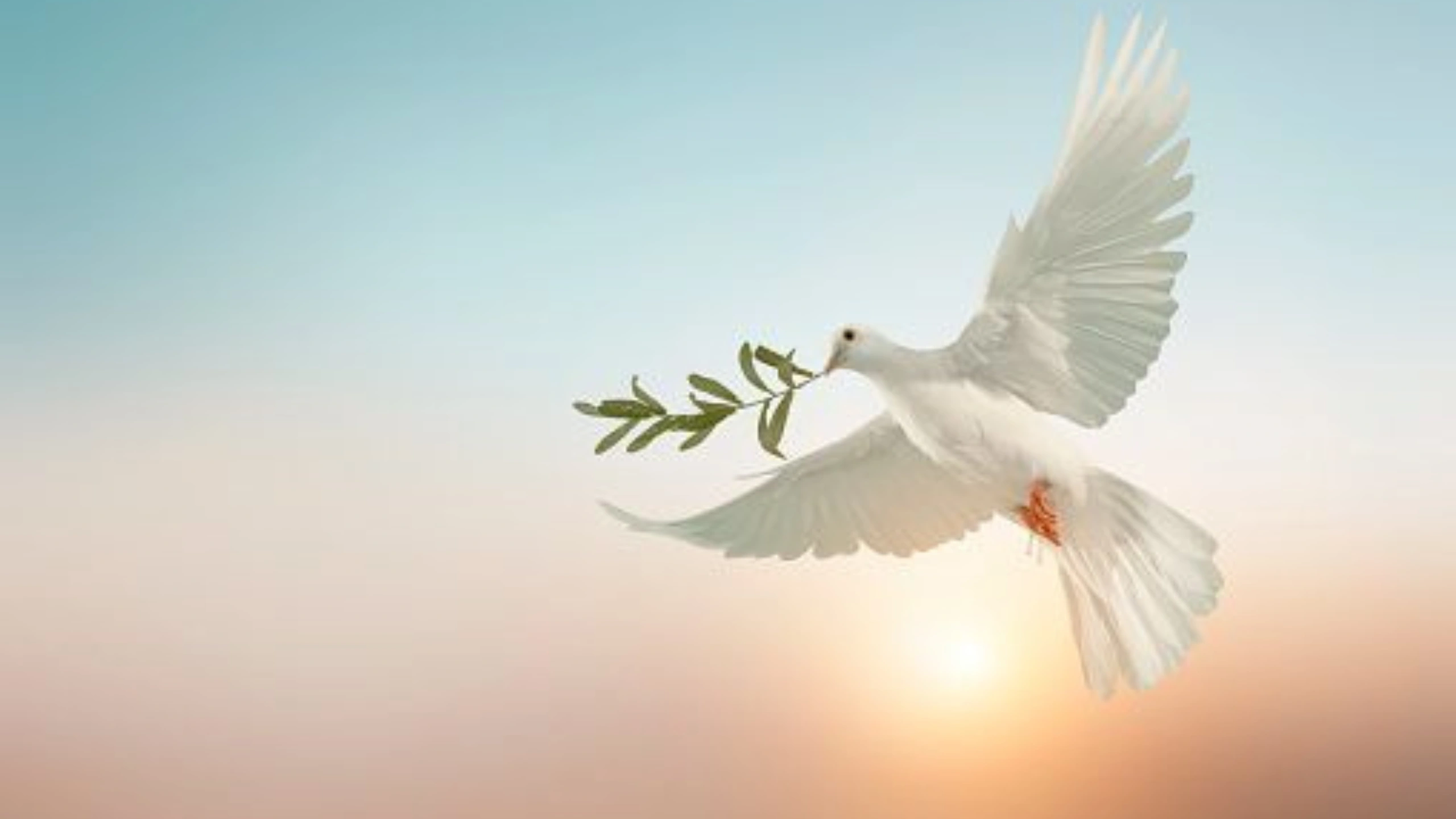 Symbols of Forgiveness