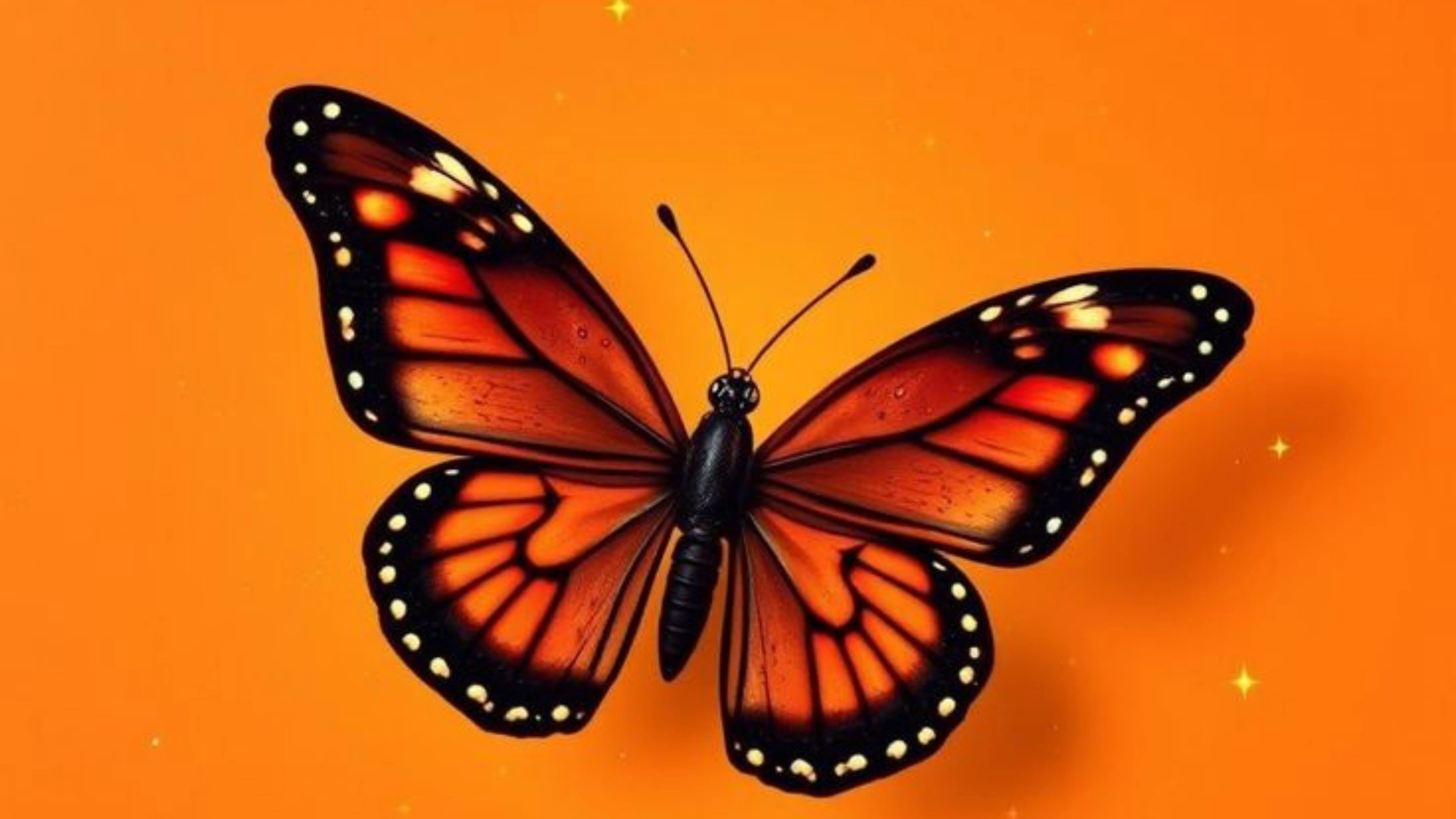 Butterfly Symbolism