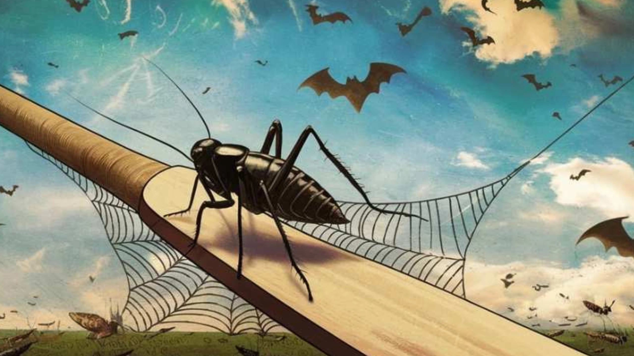 Black Cricket Spiritual Meaning