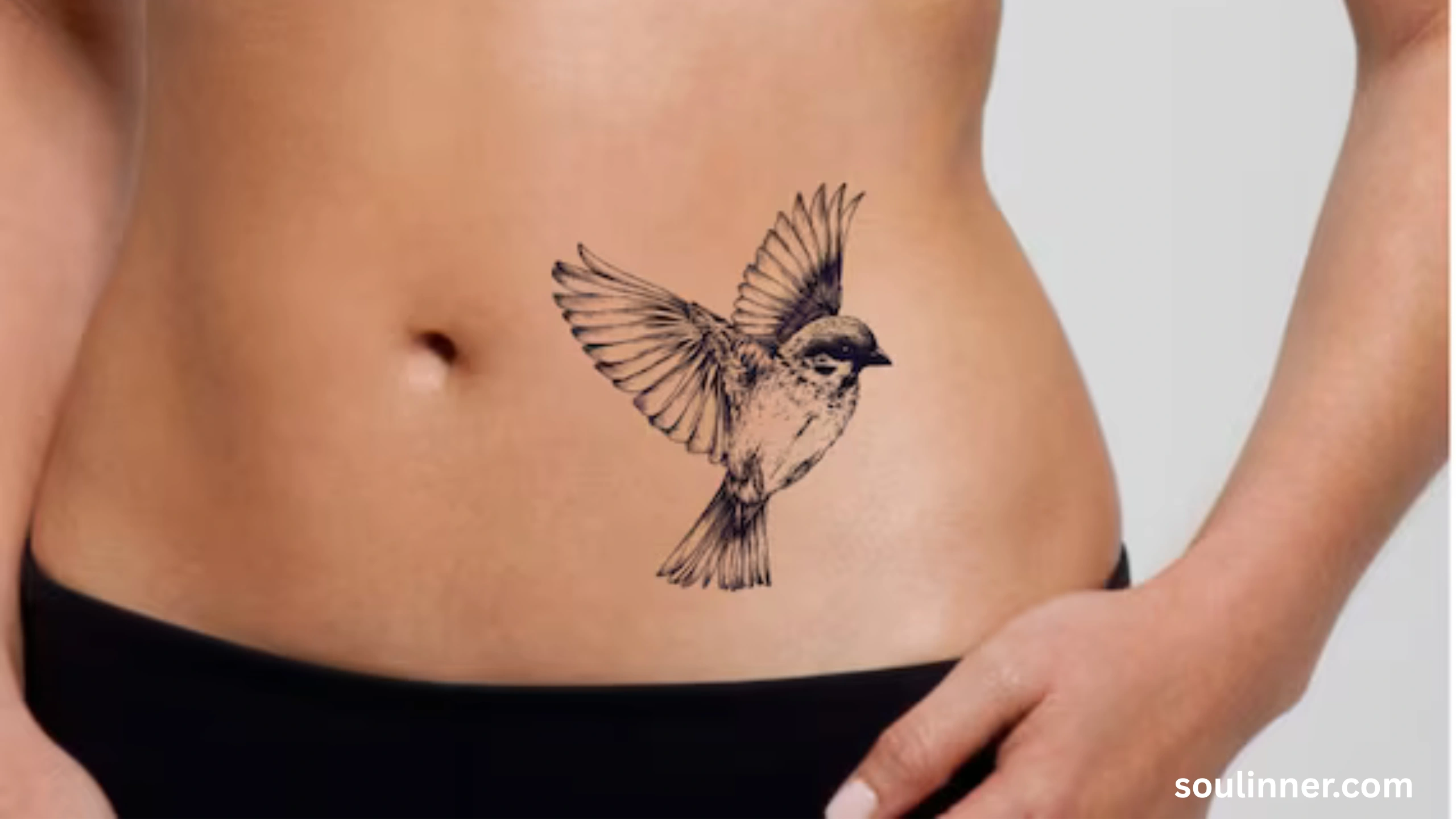 Black Phoebe Spiritual Meaning