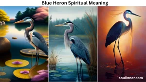 Blue Heron Spiritual Meaning