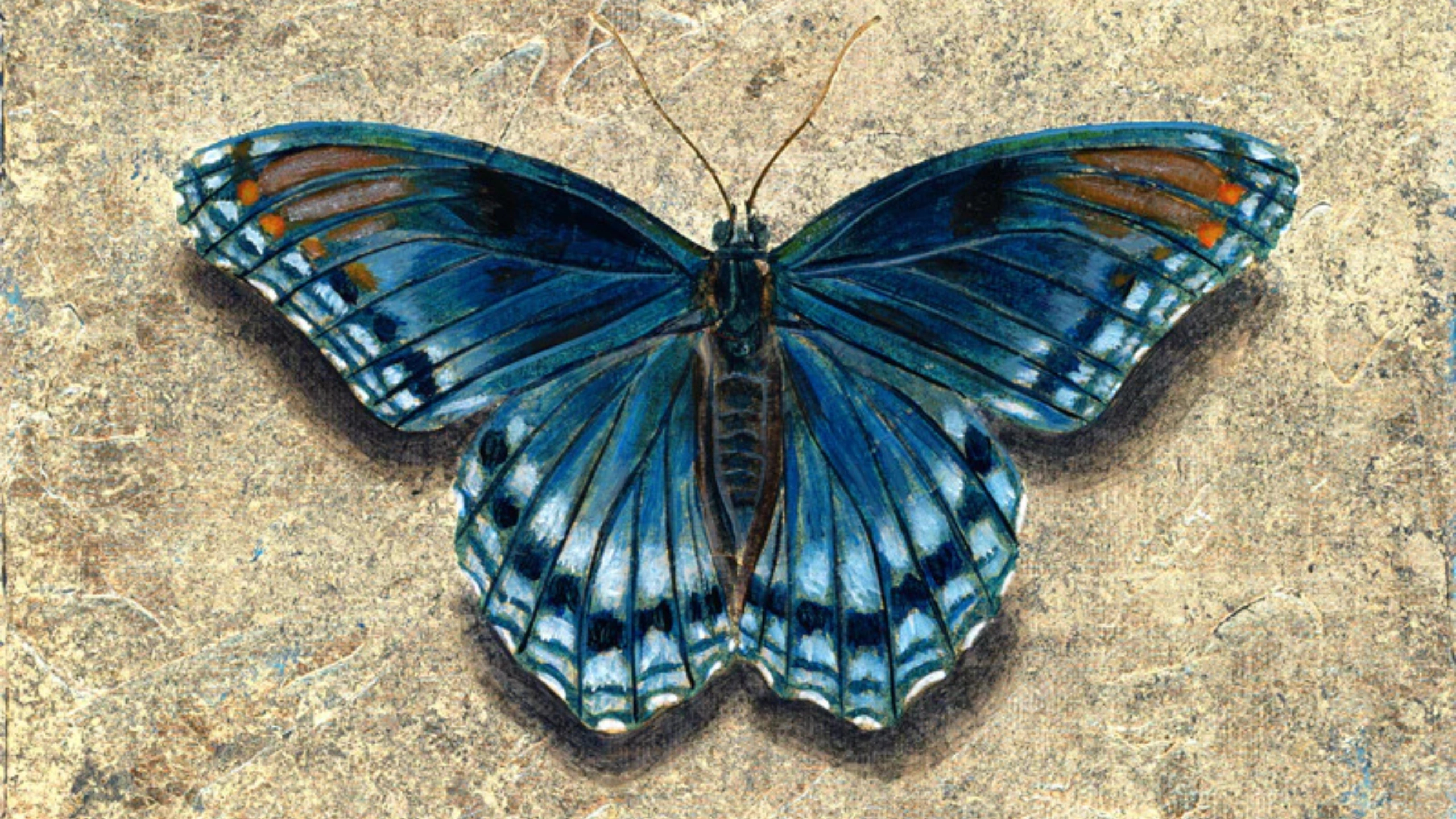 Butterfly Symbolism