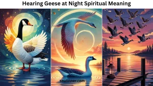 Hearing Geese at Night Spiritual Meaning and Symbolism