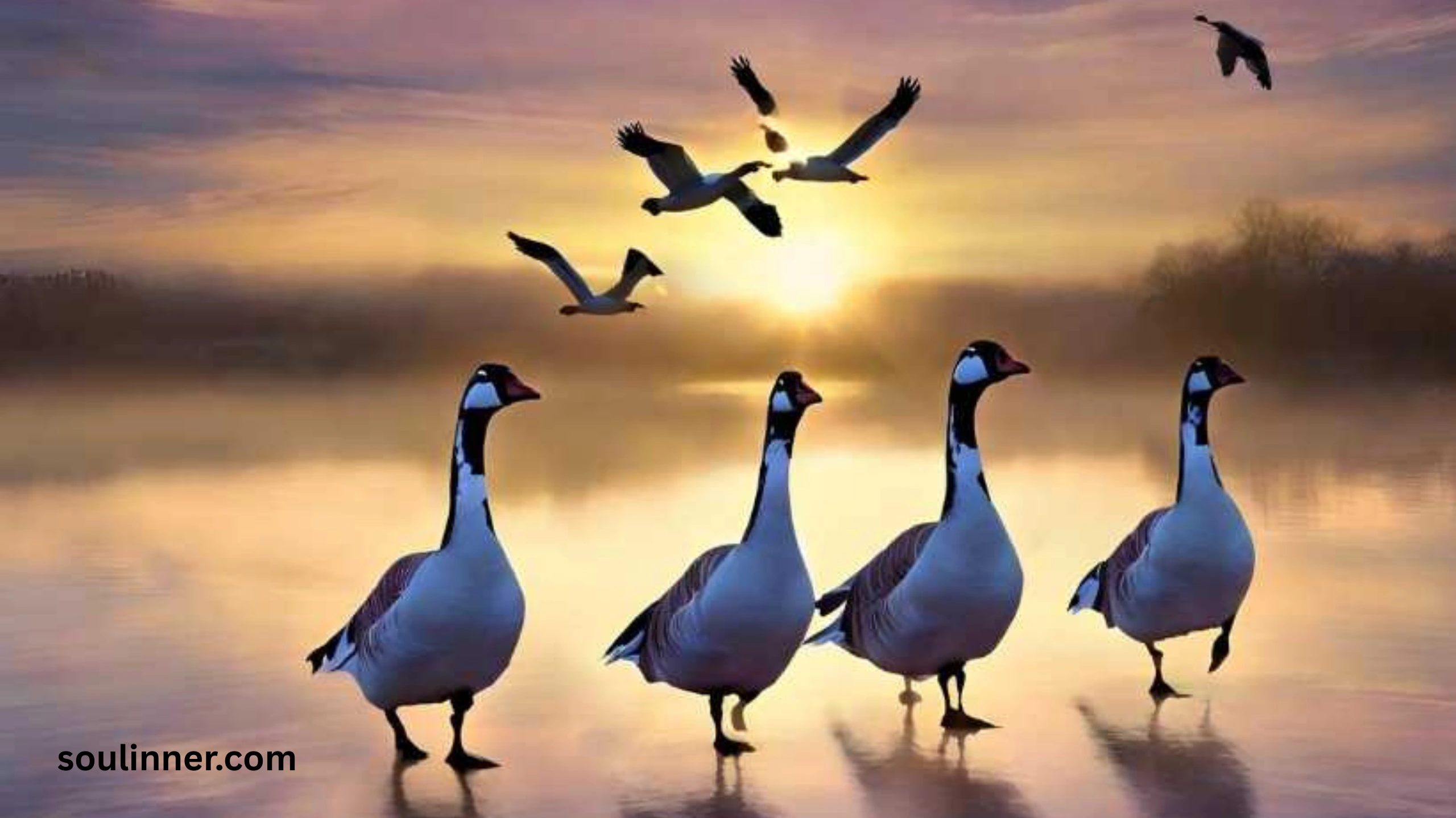 Hearing Geese at Night Spiritual Meaning and Symbolism