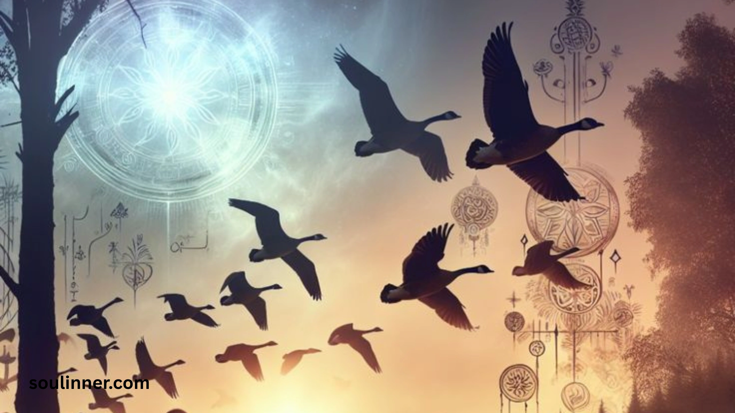 Hearing Geese at Night Spiritual Meaning and Symbolism