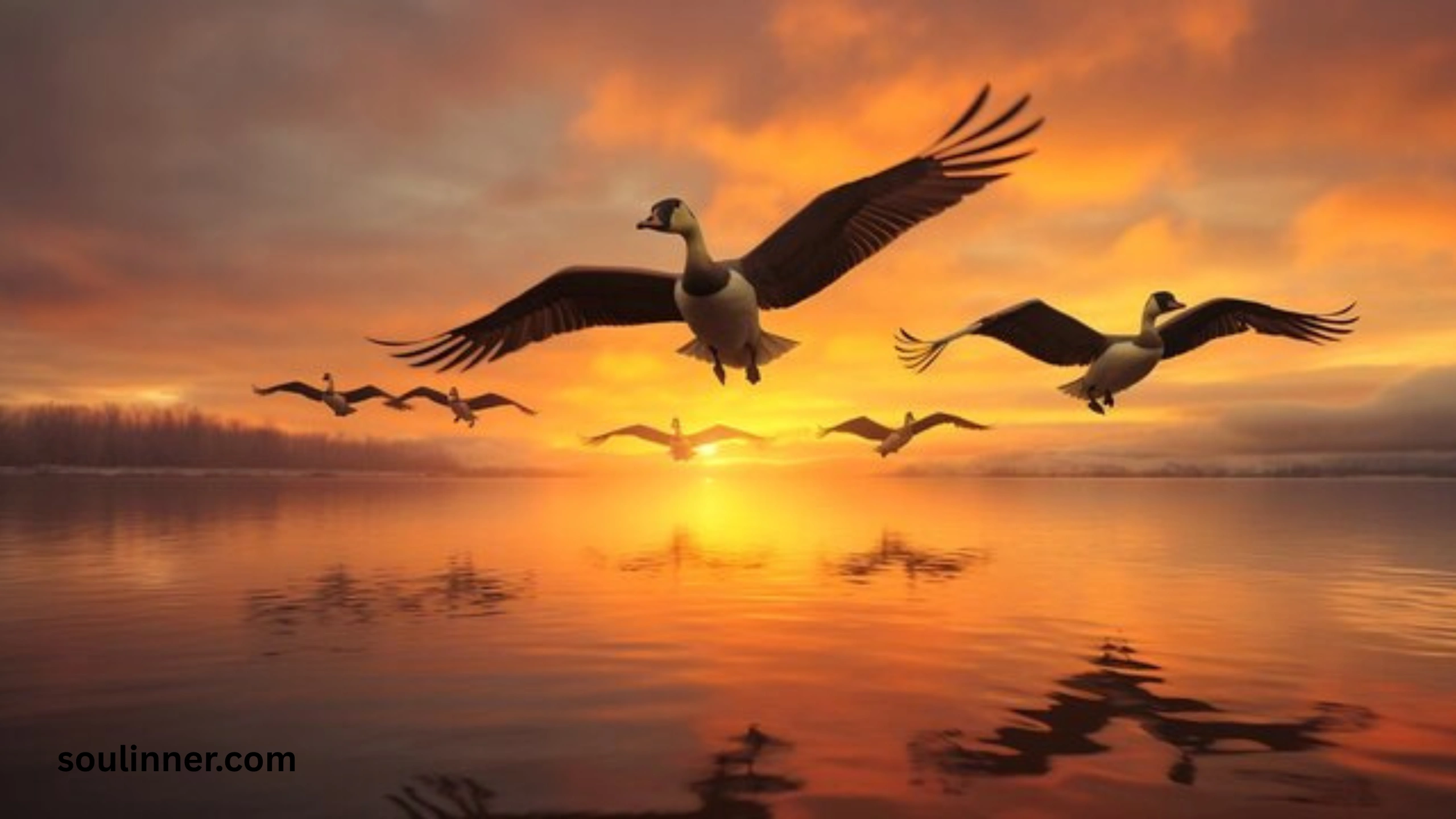 Hearing Geese at Night Spiritual Meaning and Symbolism