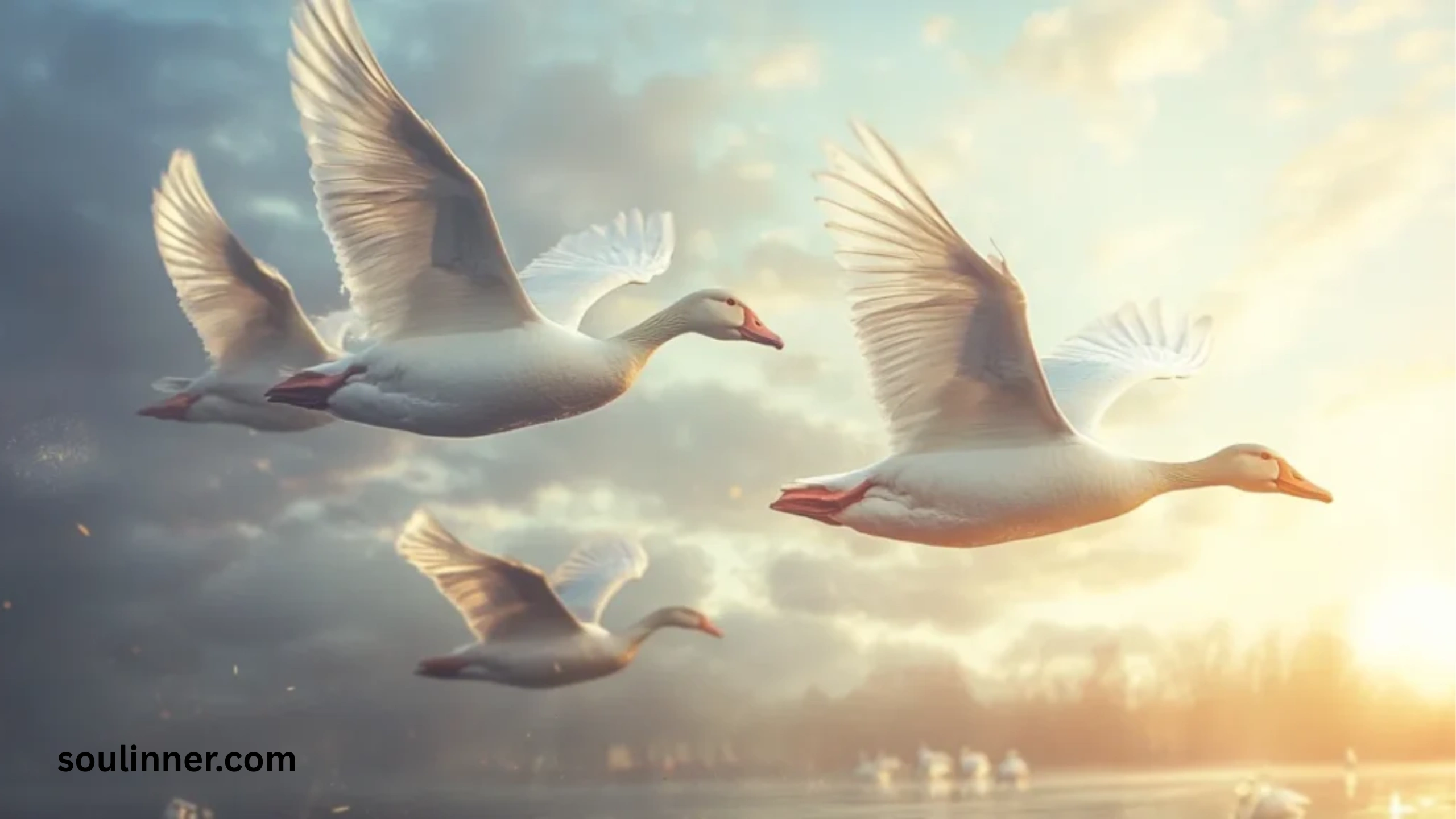 Hearing Geese at Night Spiritual Meaning and Symbolism