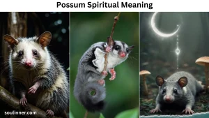 Possum Spiritual Meaning