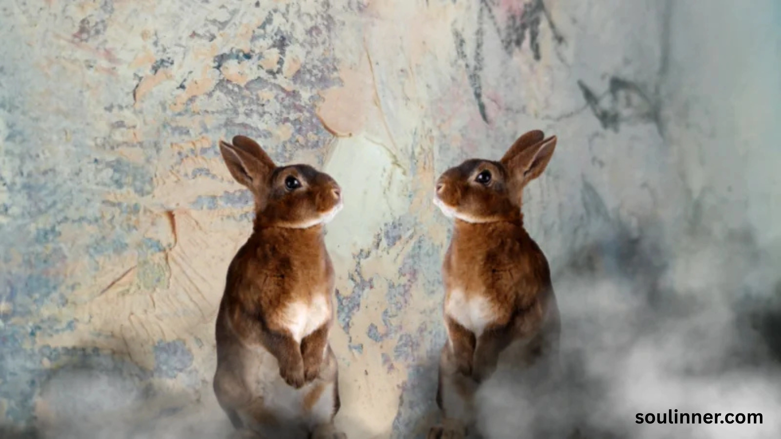 Seeing 2 Rabbits Spiritual Meaning