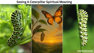 Seeing A Caterpillar Spiritual Meaning