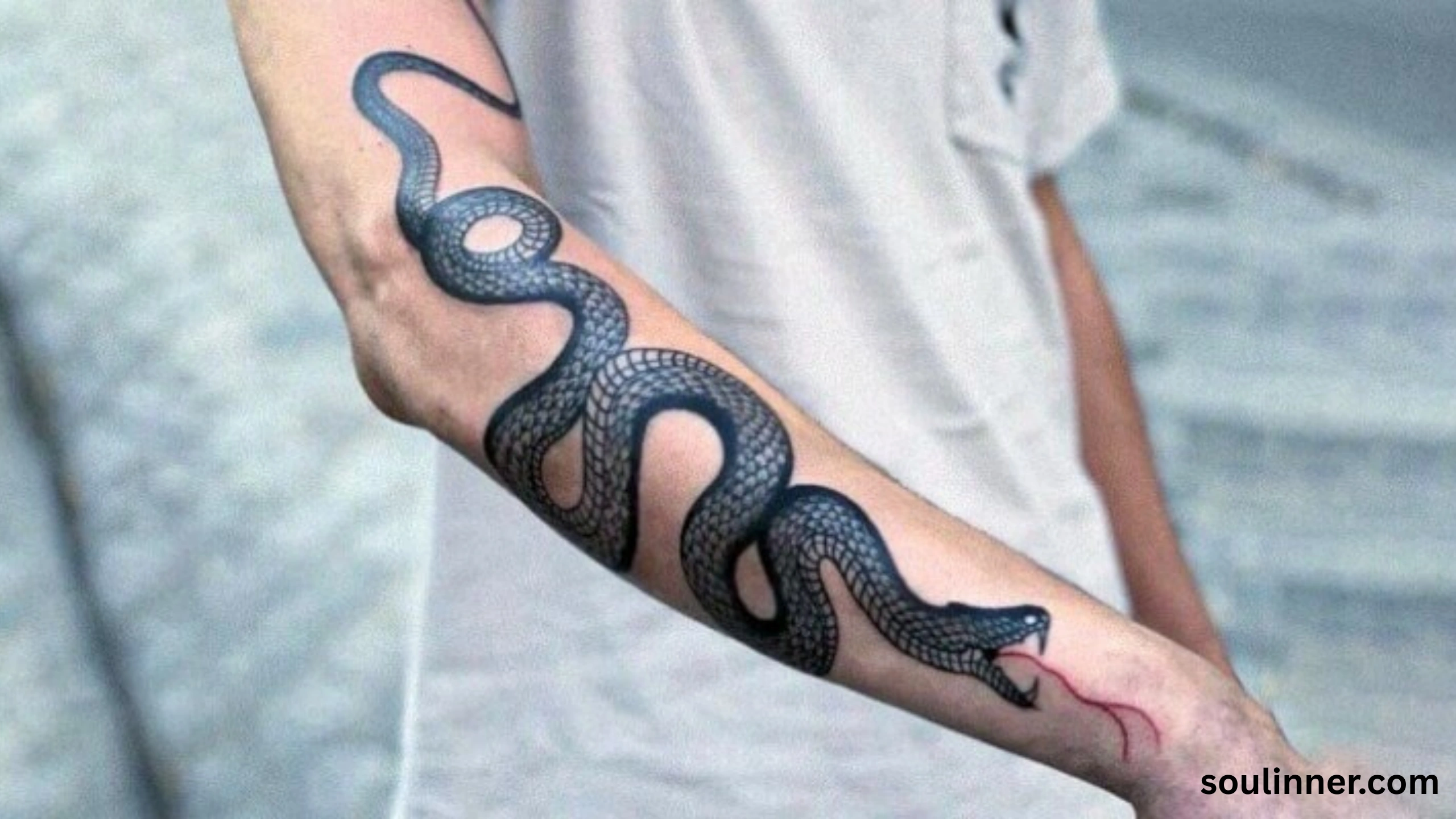 Snake Tattoo Meaning 
