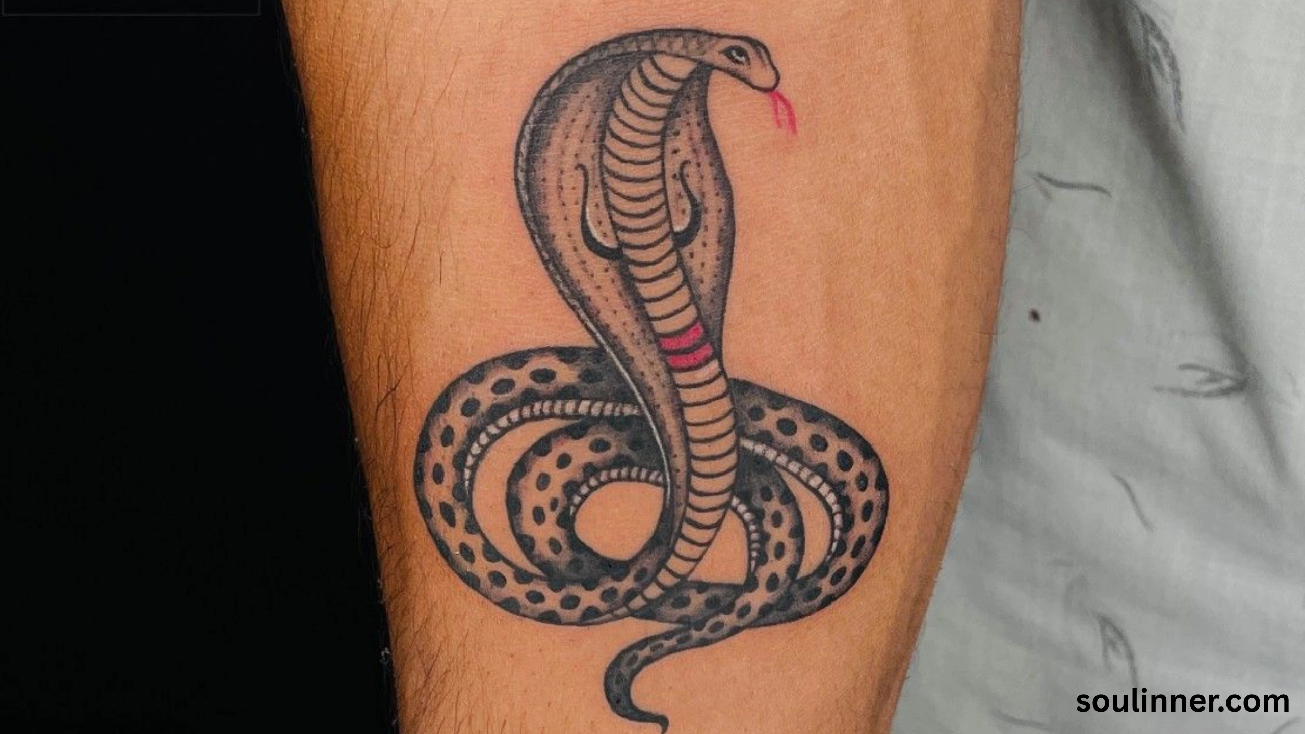 Snake Tattoo Meaning 