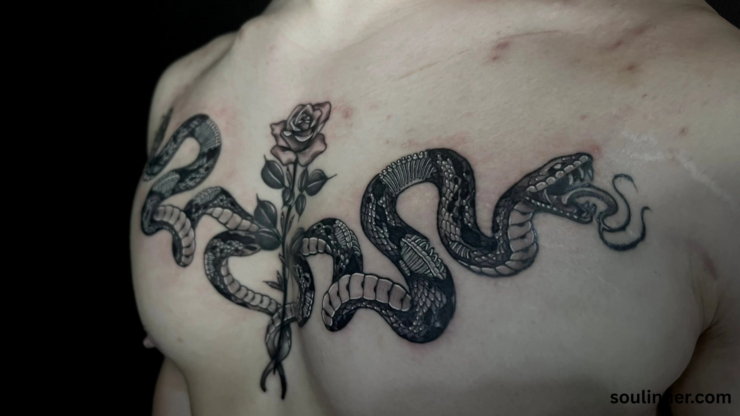Snake Tattoo Meaning