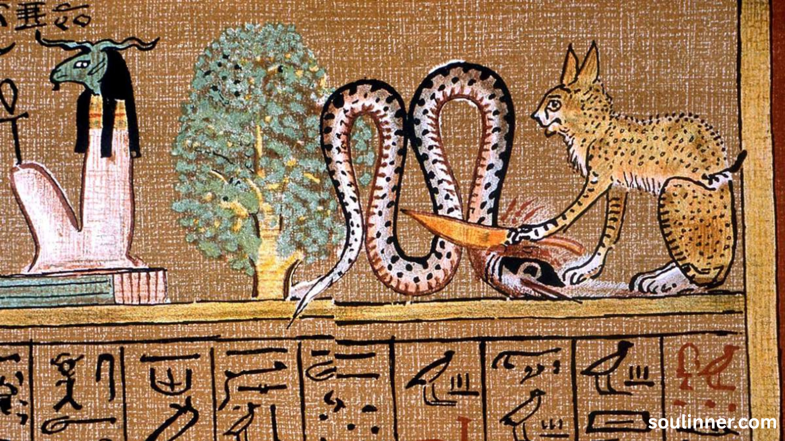 Snake in House Spiritual Meaning and Symbolism