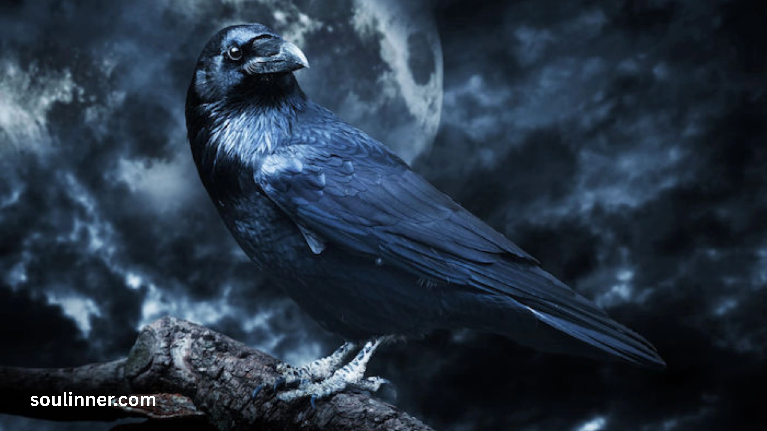 Spiritual Meaning Raven