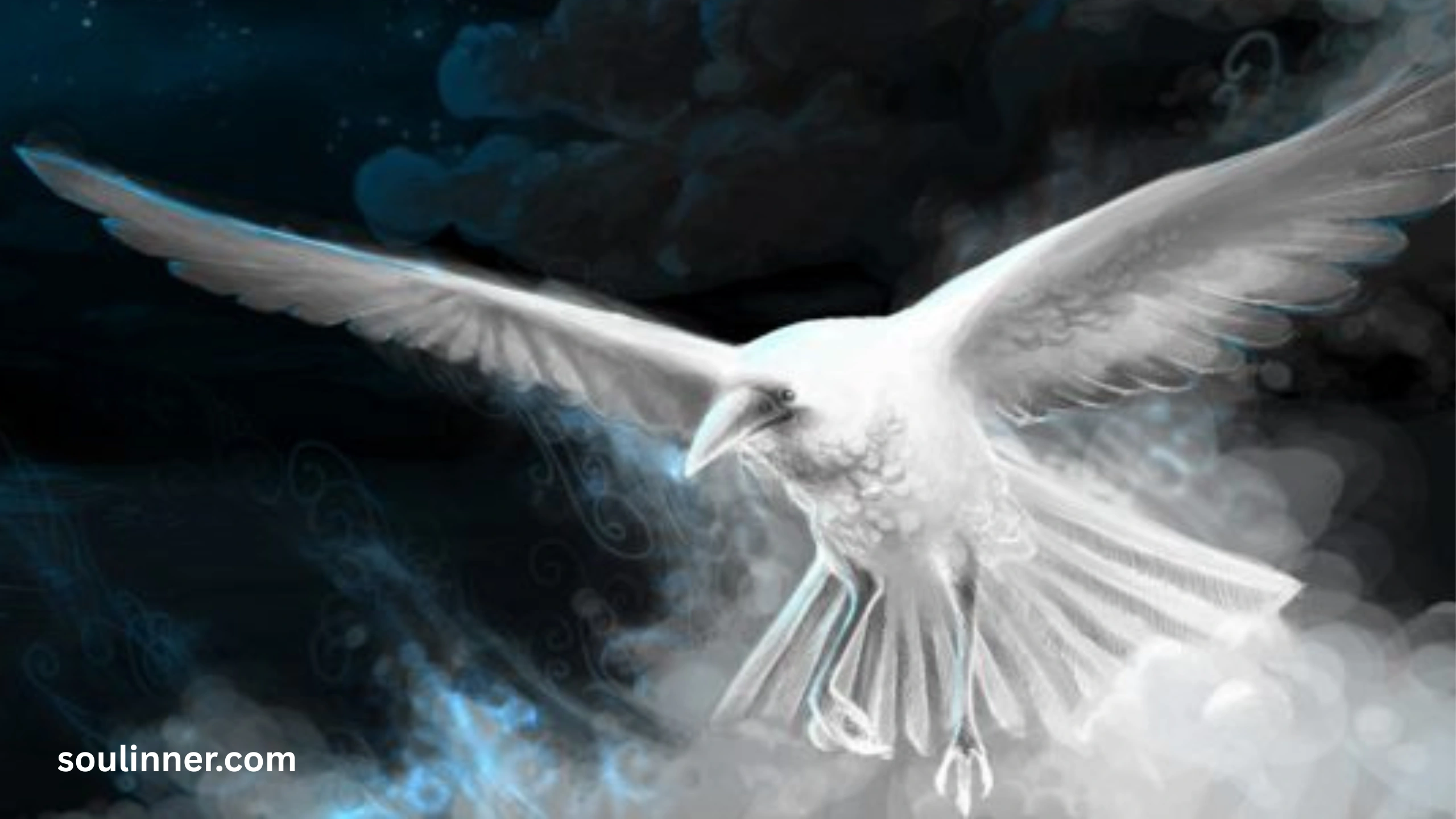 Spiritual Meaning Raven