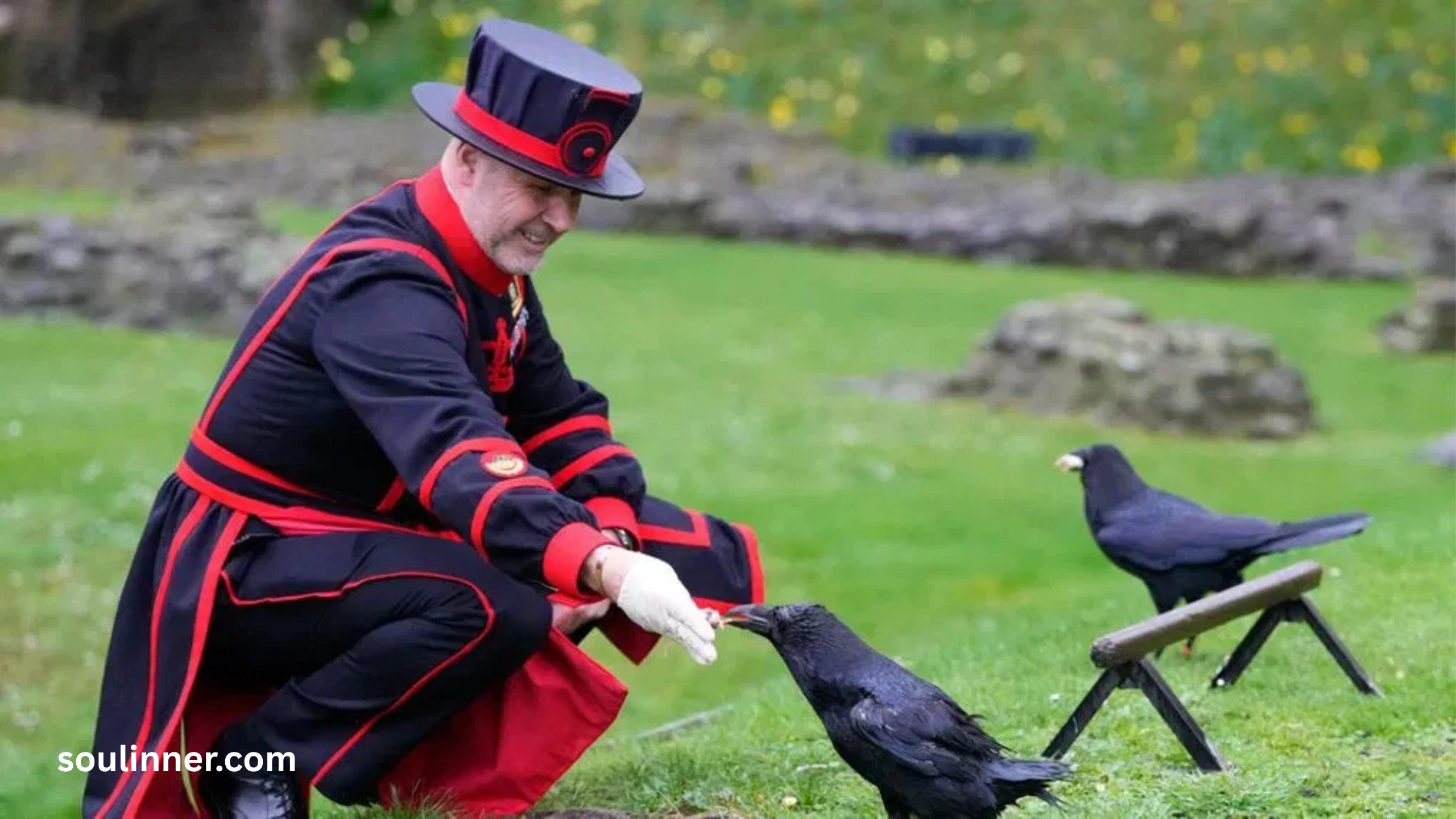Spiritual Meaning Raven