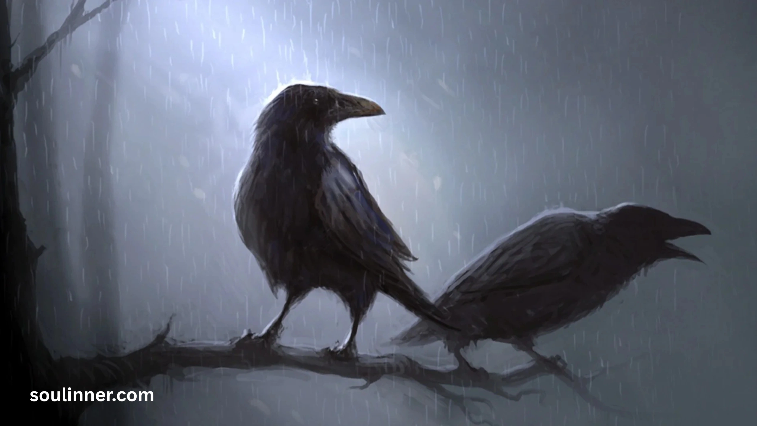 Spiritual Meaning Raven