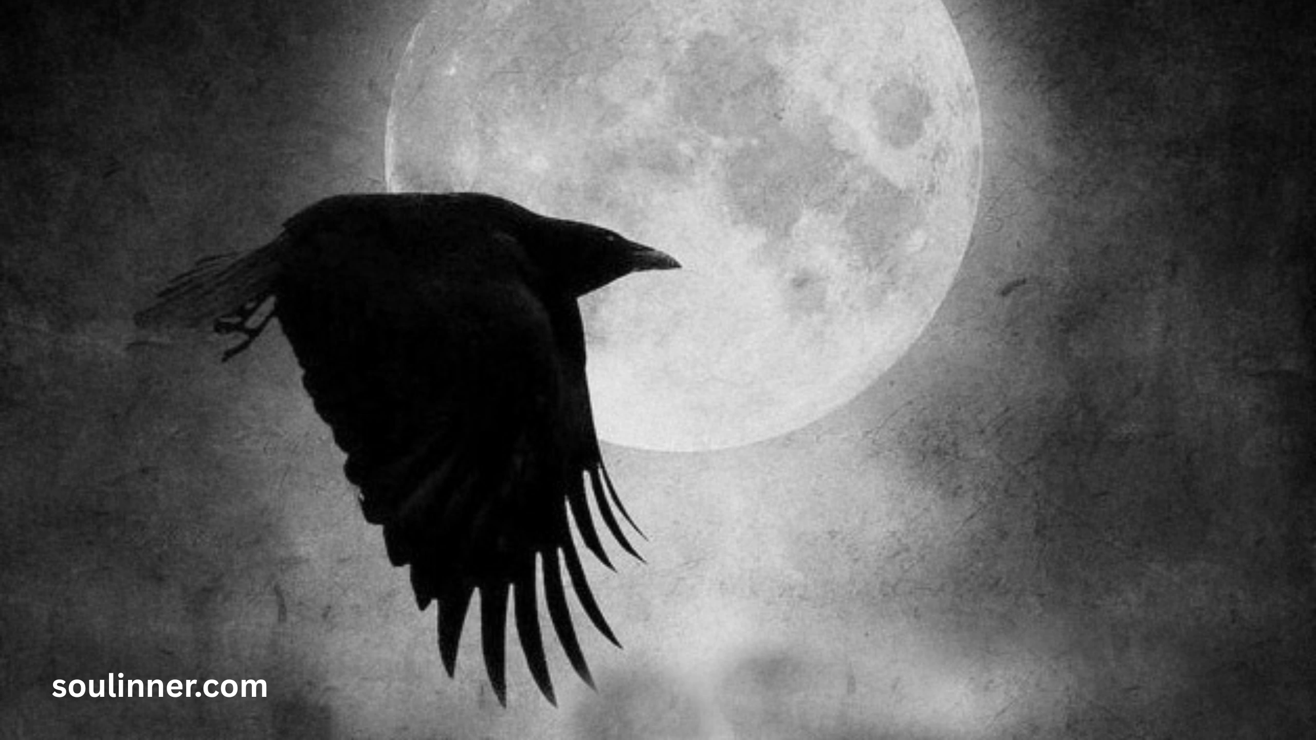Spiritual Meaning Raven