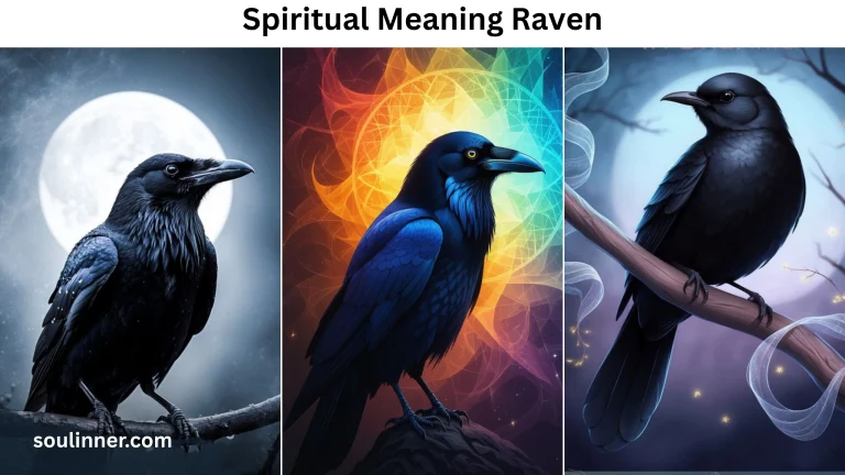 Spiritual Meaning Raven