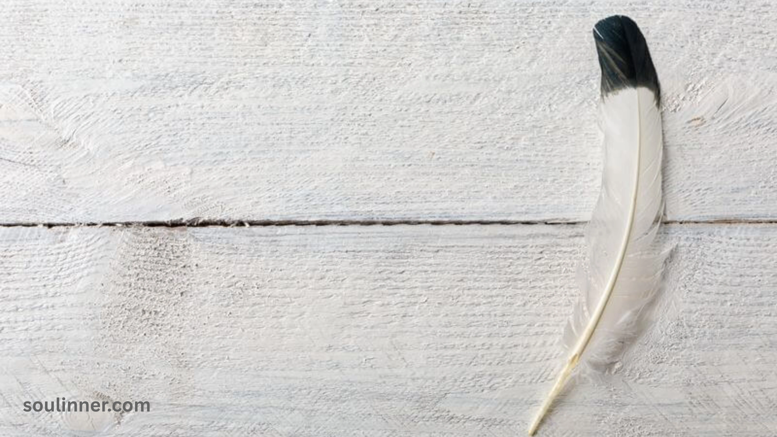 Spiritual Meaning of Black and White Feathers