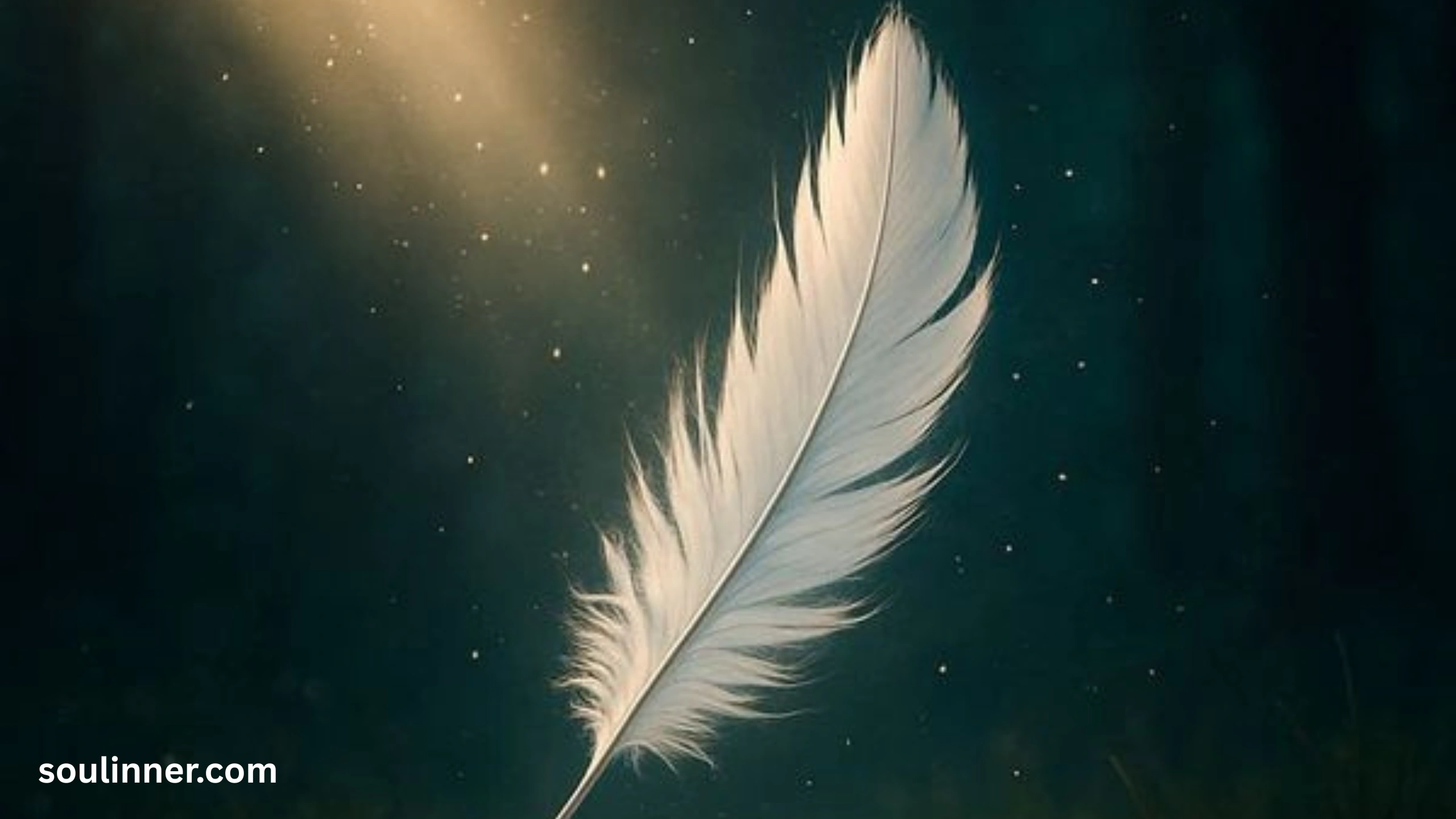 Spiritual Meaning of Black and White Feathers