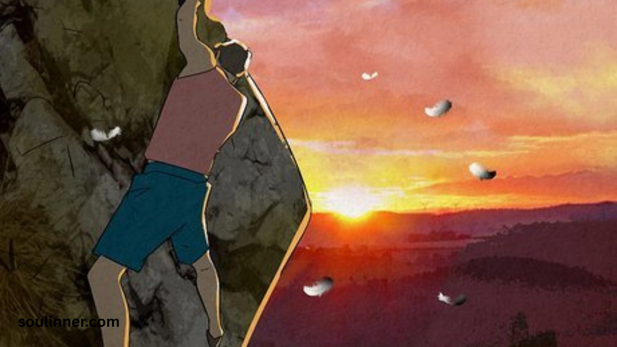  Spiritual Meaning of Black and White Feathers