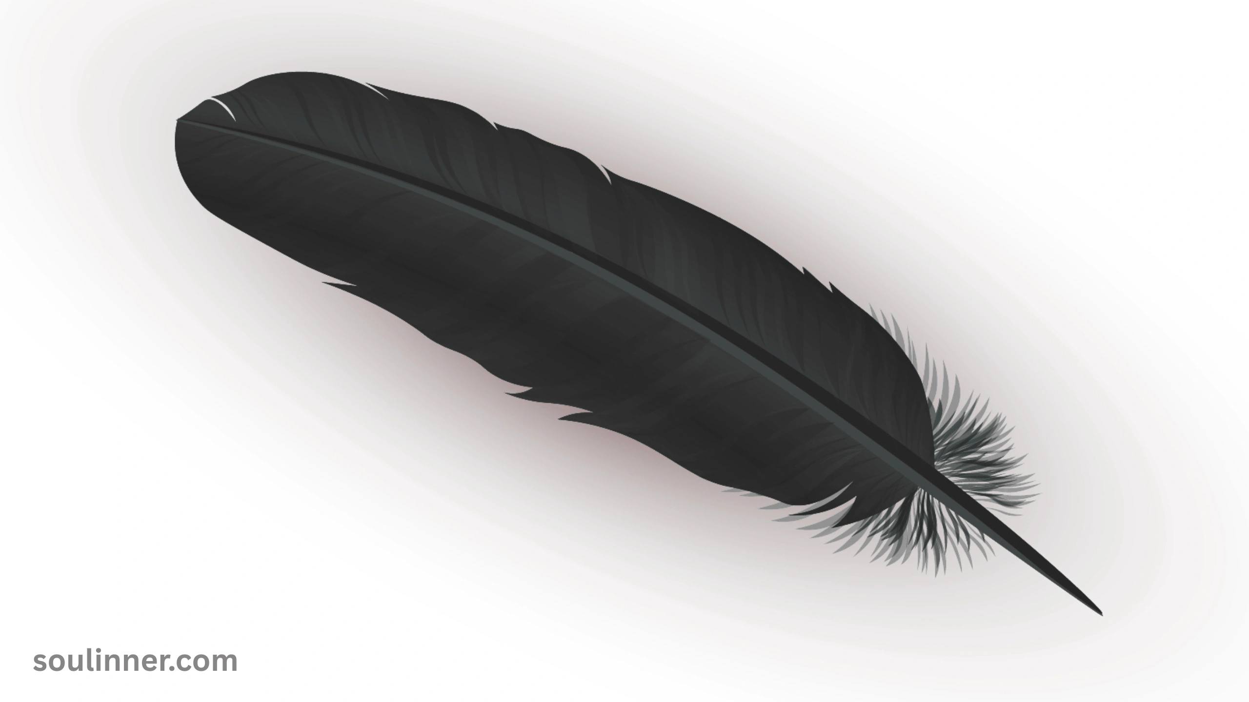 Spiritual Meaning of Black and White Feathers