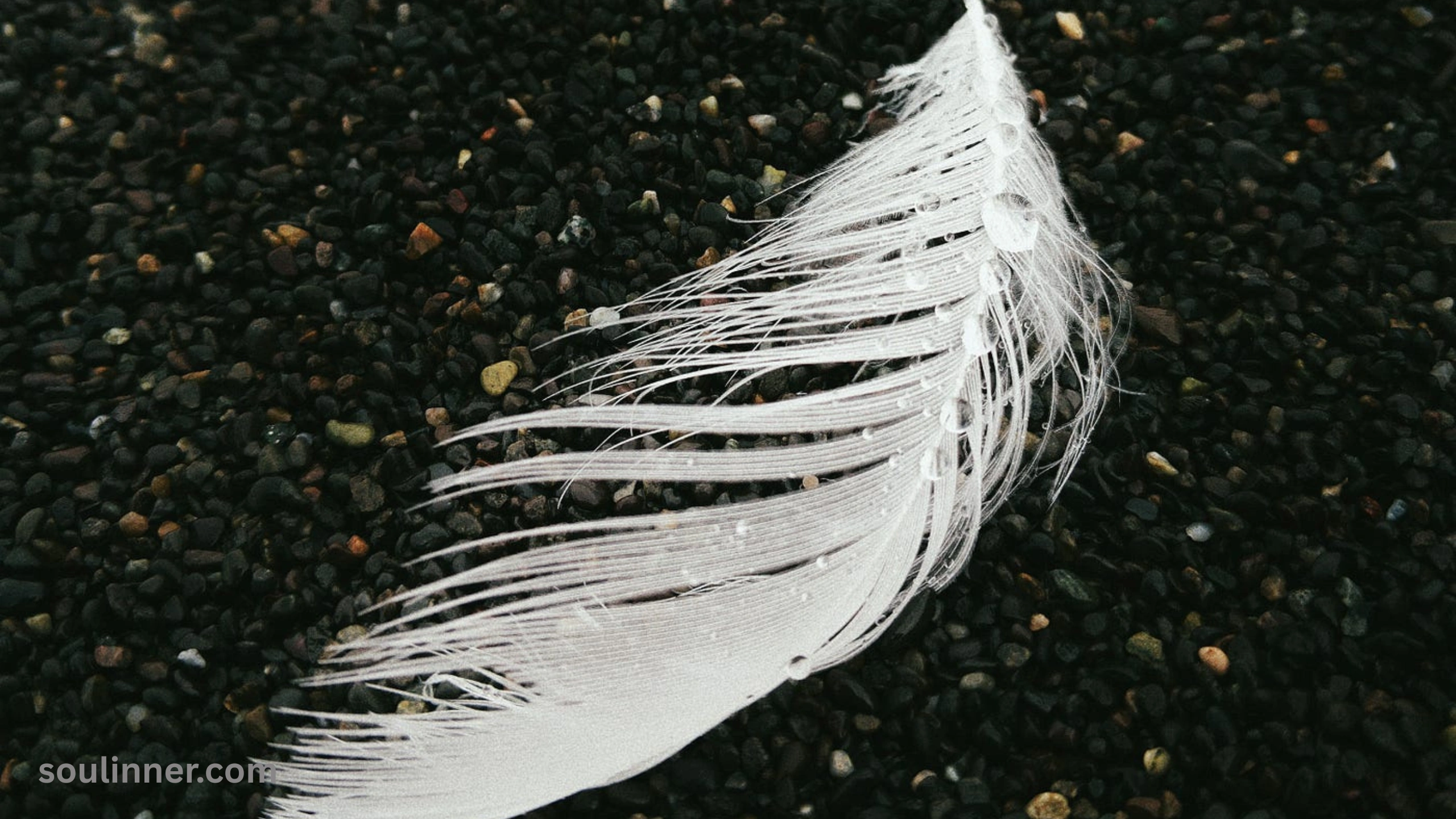 Spiritual Meaning of Black and White Feathers