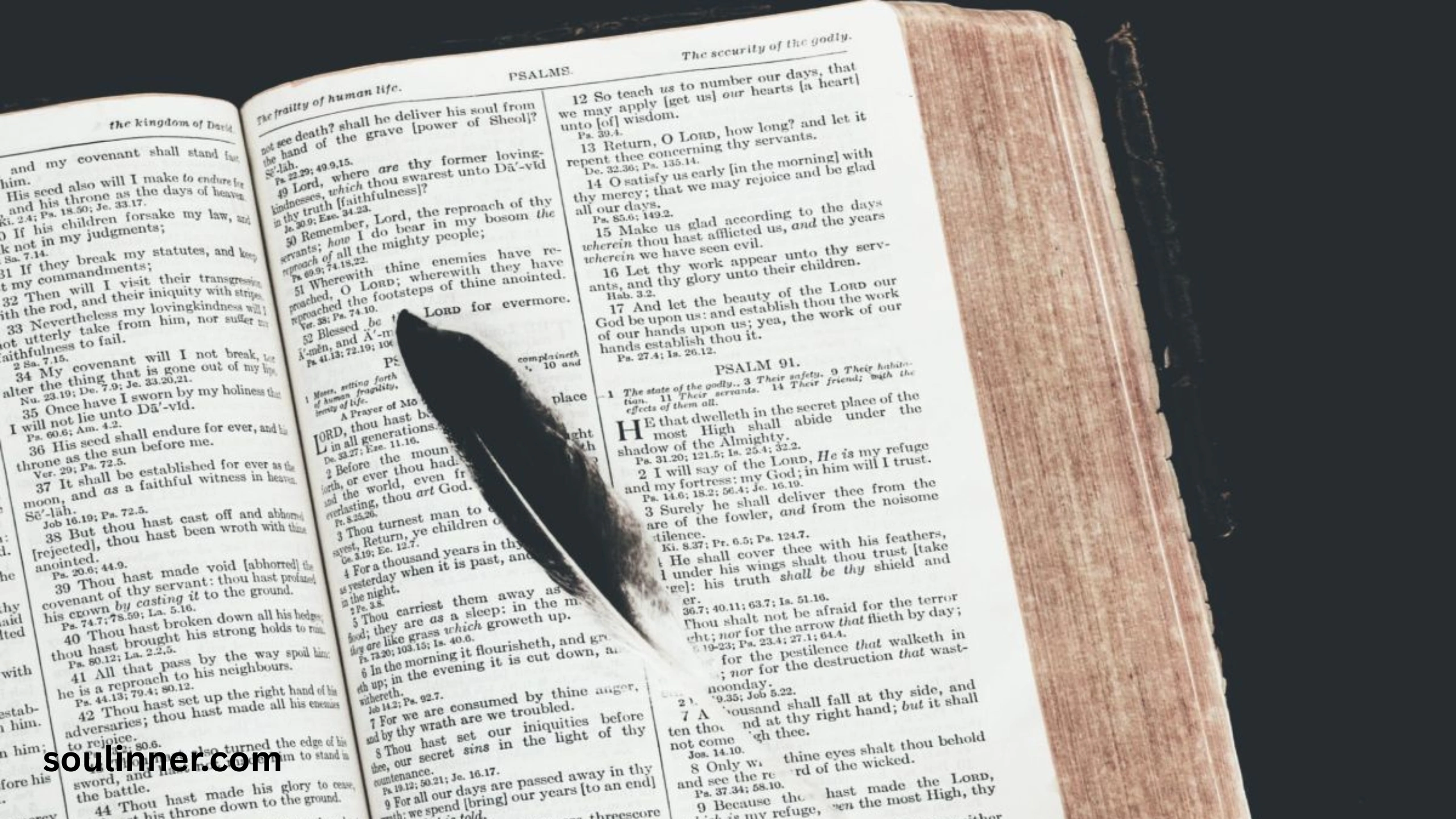  Spiritual Meaning of Black and White Feathers