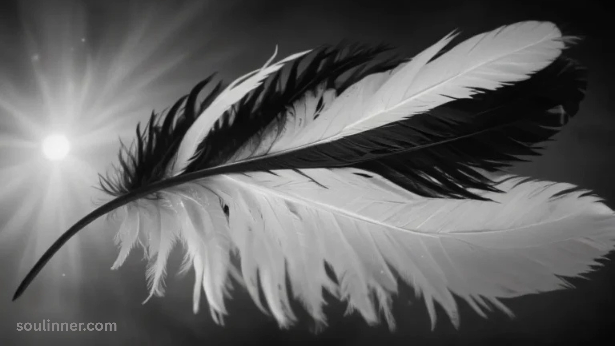 Spiritual Meaning of Black and White Feathers