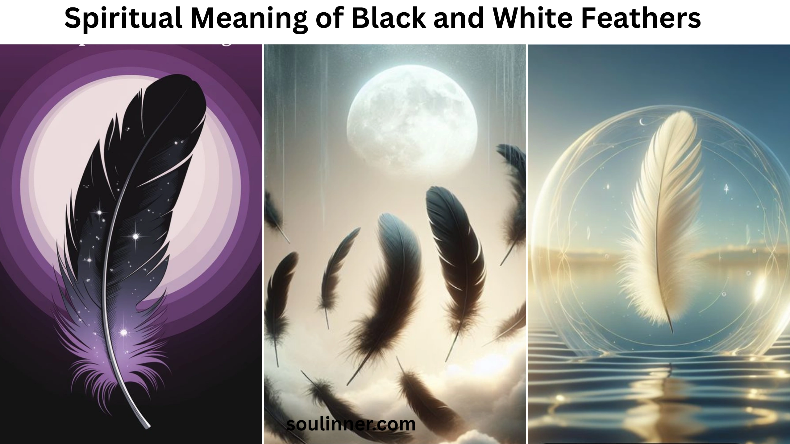 Spiritual Meaning of Black and White Feathers