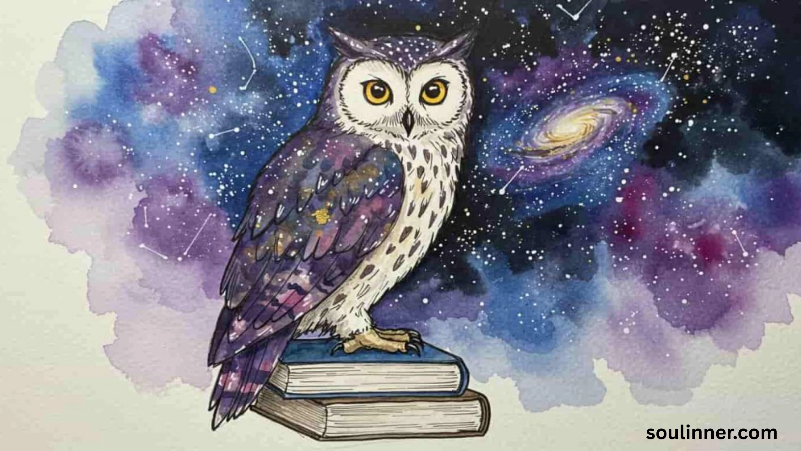 Spiritual Meaning of Seeing an Owl During the Day