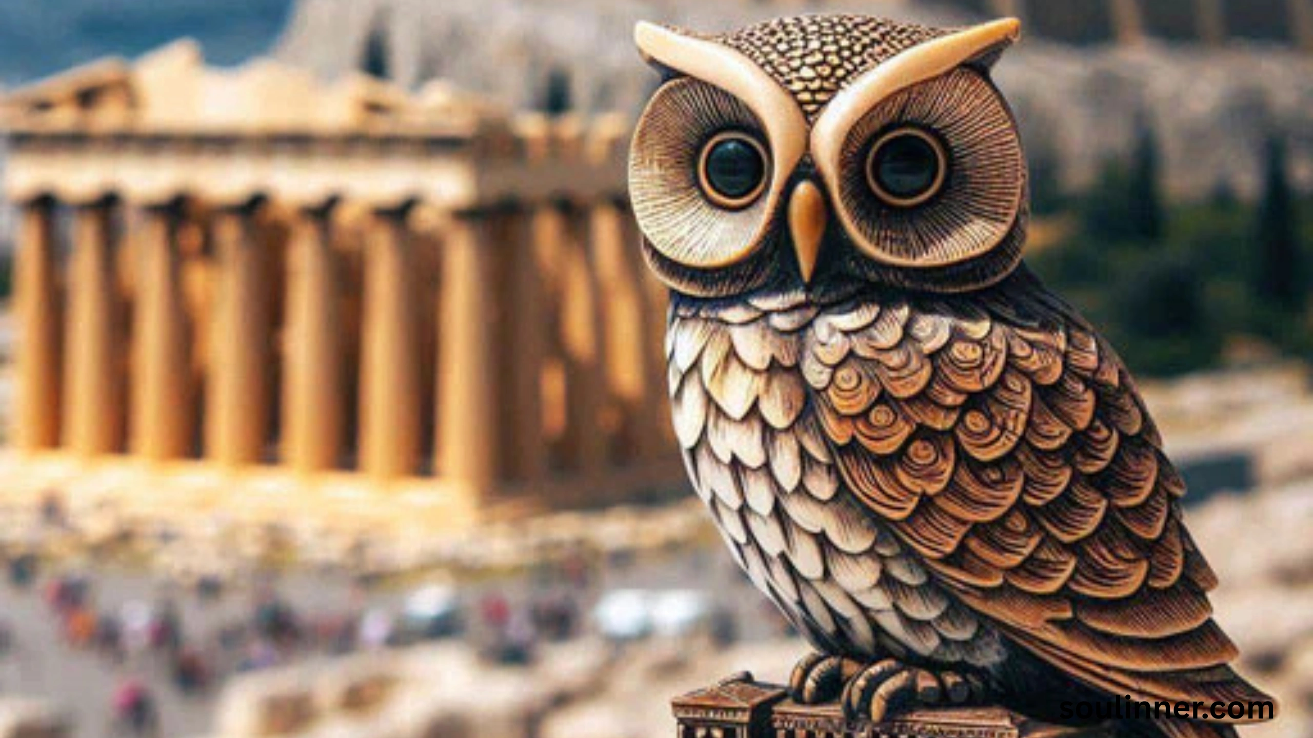 Spiritual Meaning of Seeing an Owl During the Day