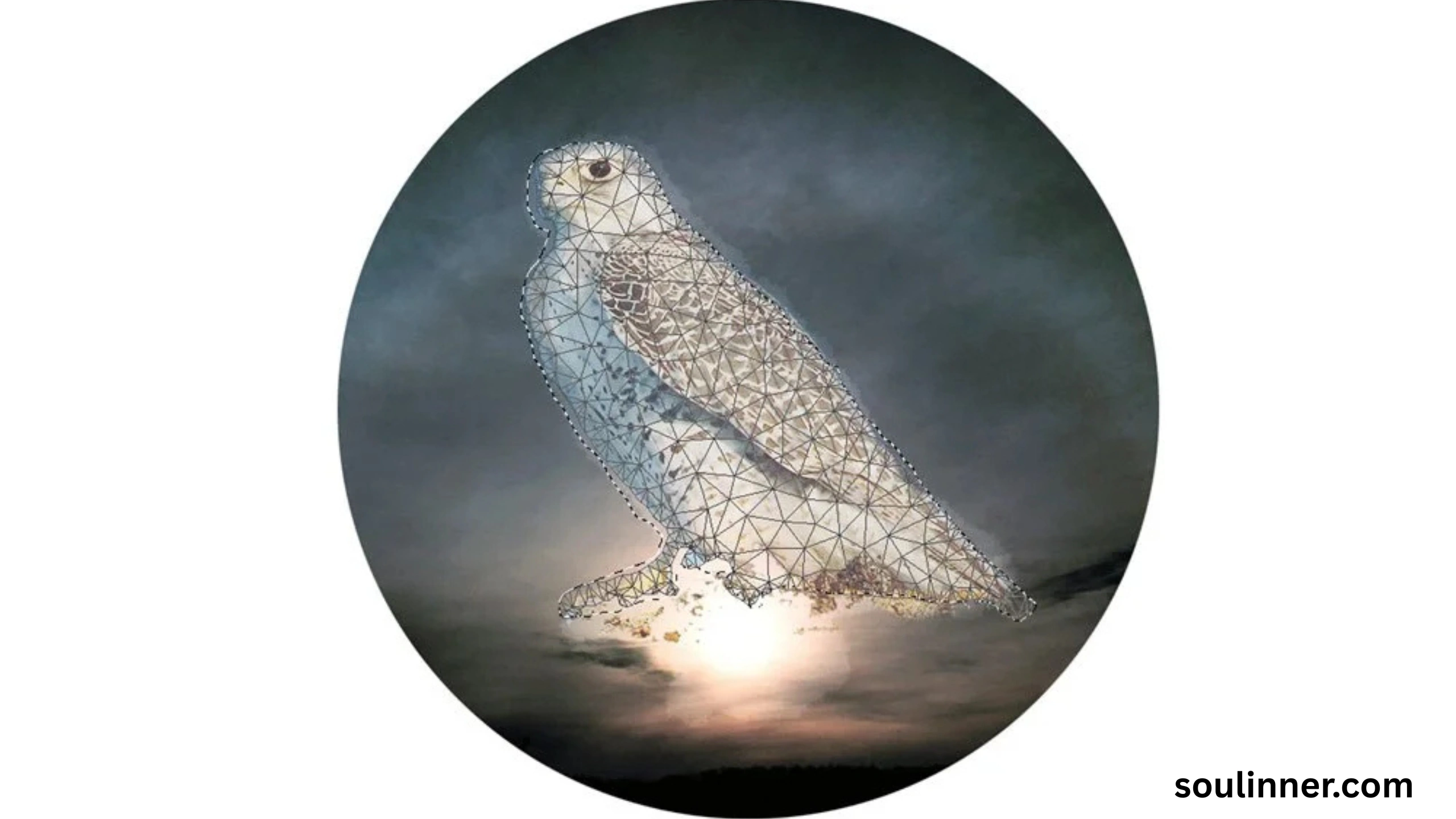 Spiritual Meaning of Seeing an Owl During the Day