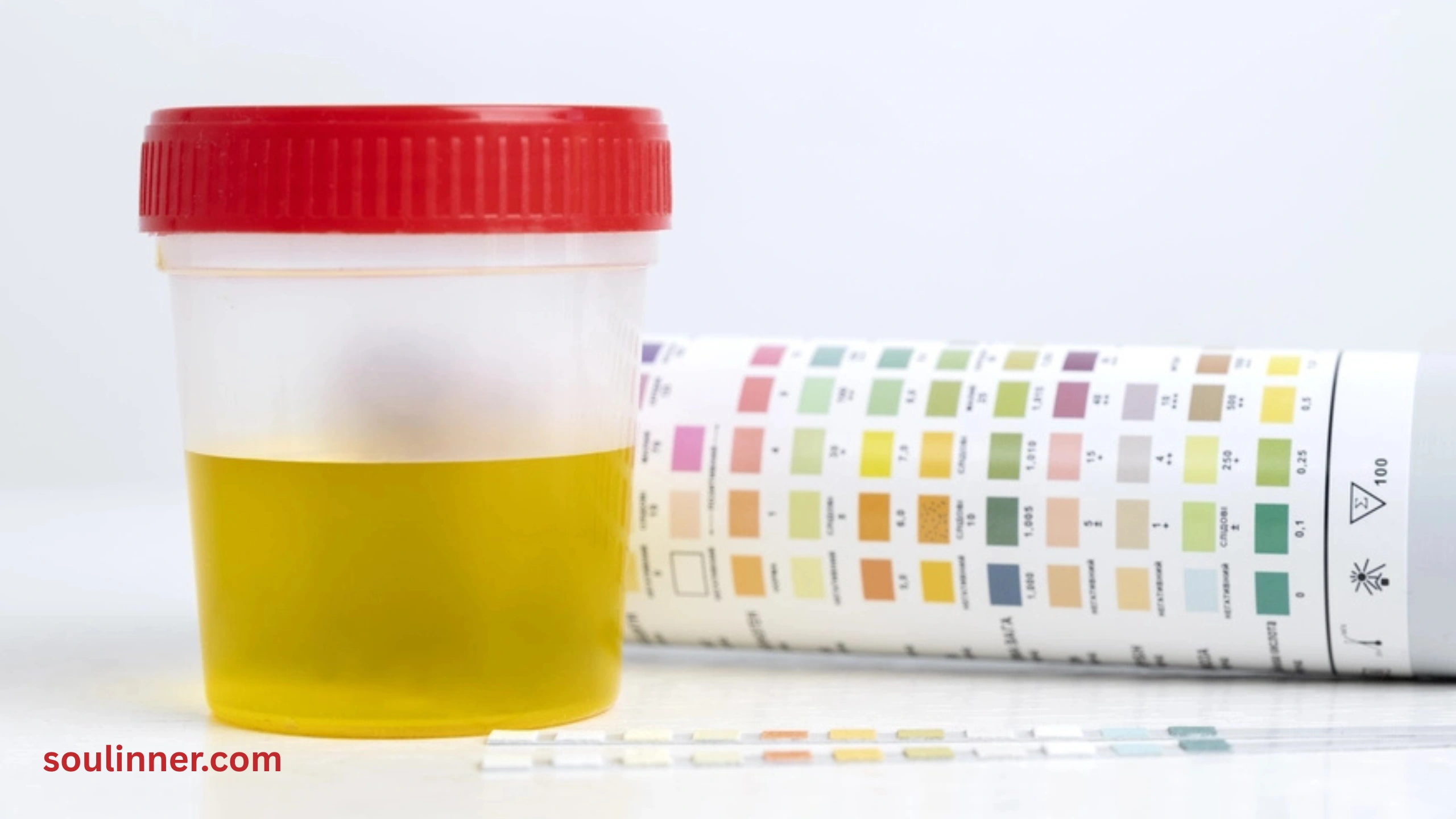  Spiritual Meaning of Smelling Urine