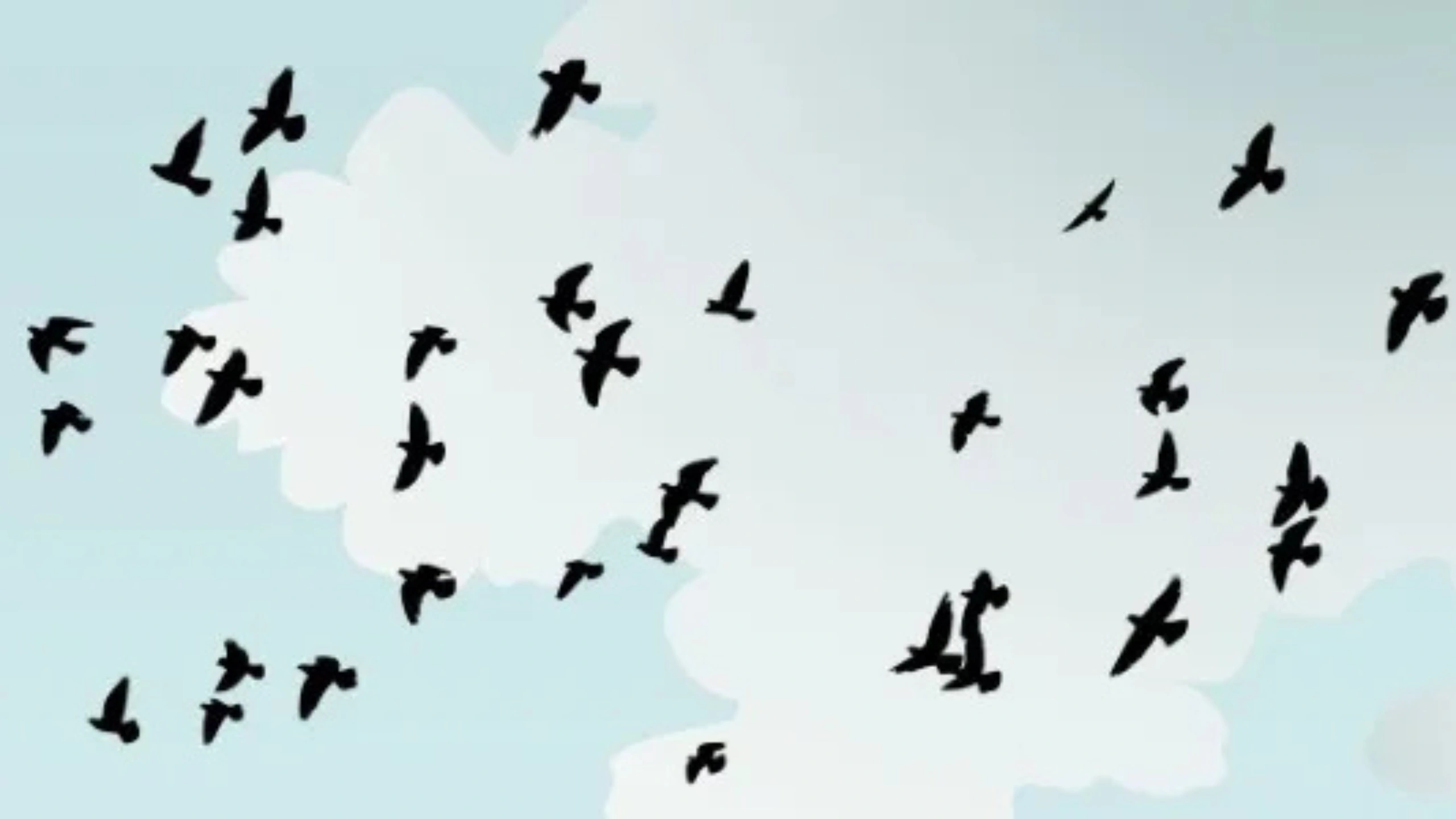 Spiritual Meaning of a Flock of Birds