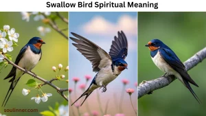 Swallow Bird Spiritual Meaning